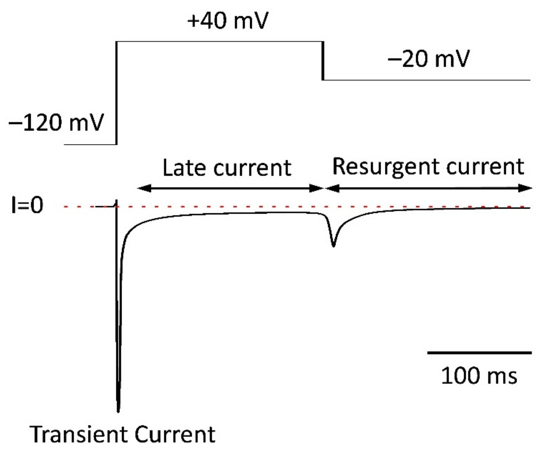 Pharmaceuticals 15 00231 g001 Pharmaceuticals 15 00231 g001