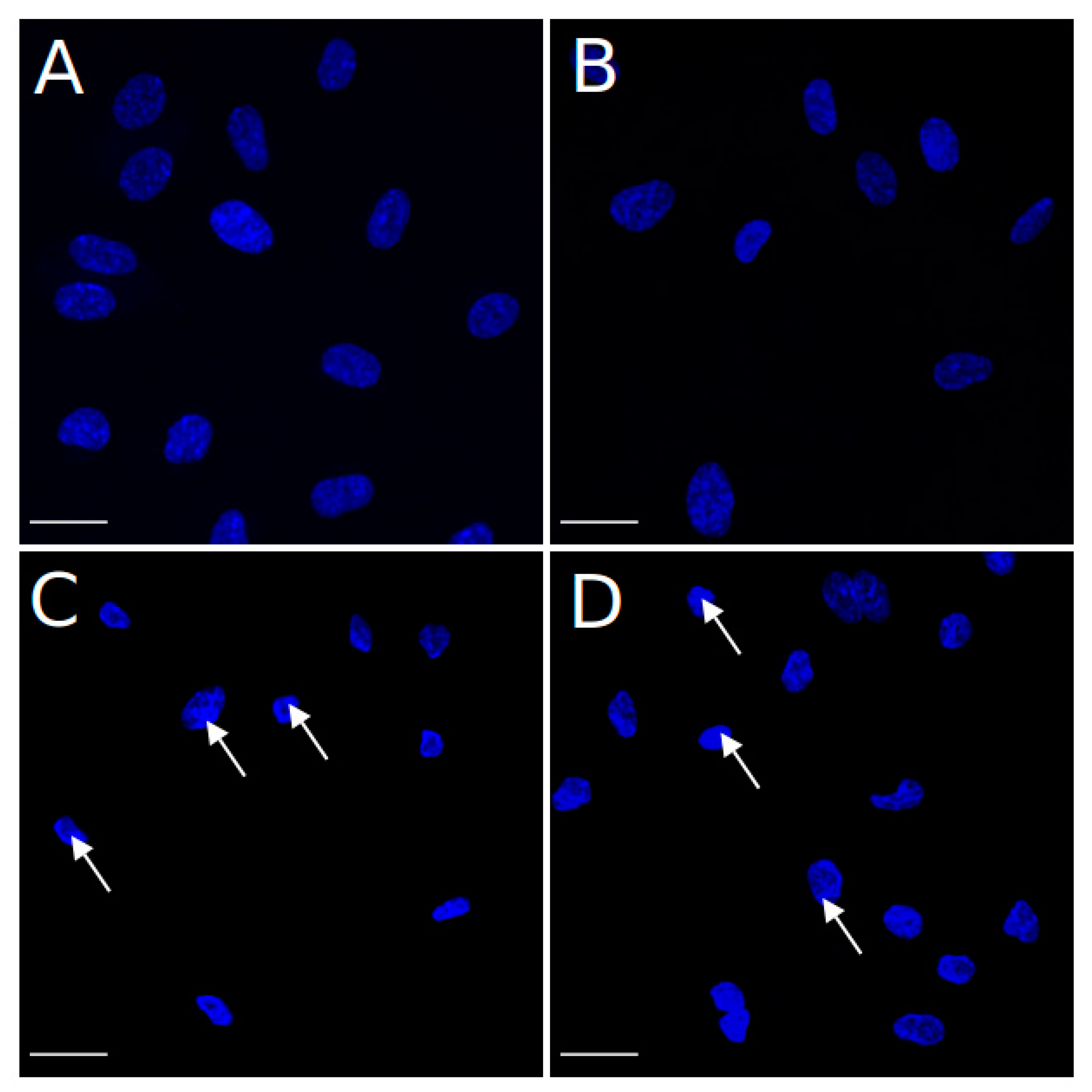 Pharmaceuticals 15 00235 g008 Pharmaceuticals 15 00235 g008