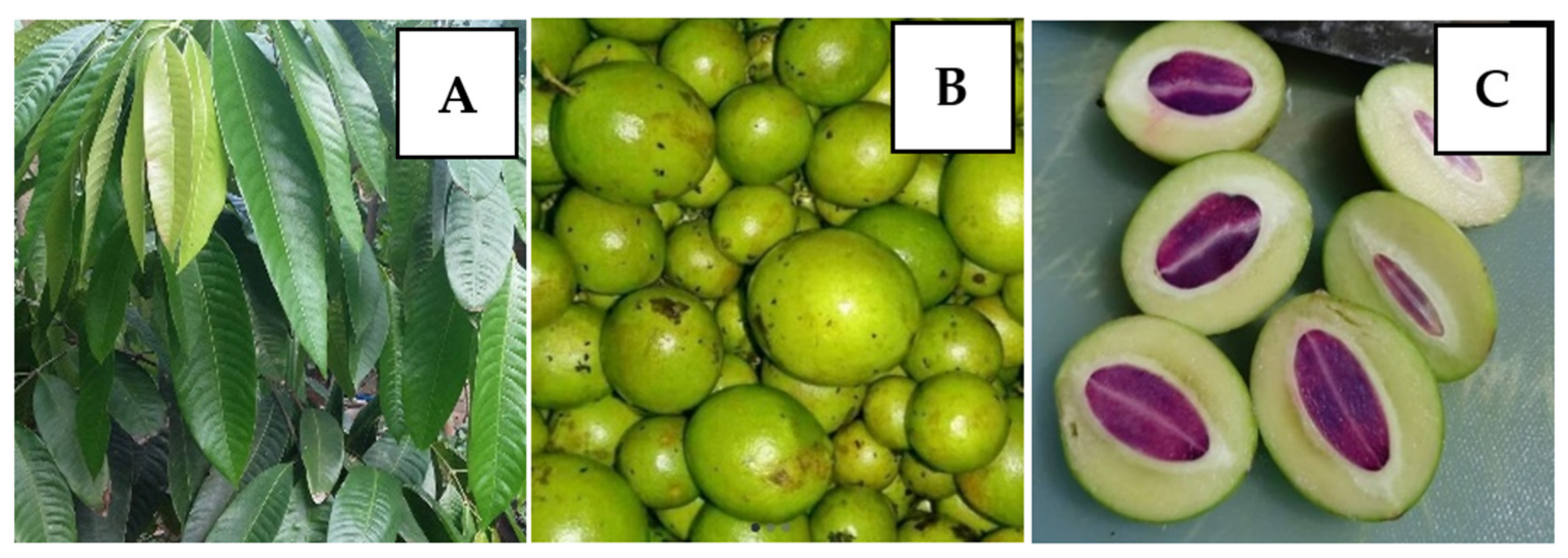 Pharmaceuticals 15 00238 g001 Pharmaceuticals 15 00238 g001