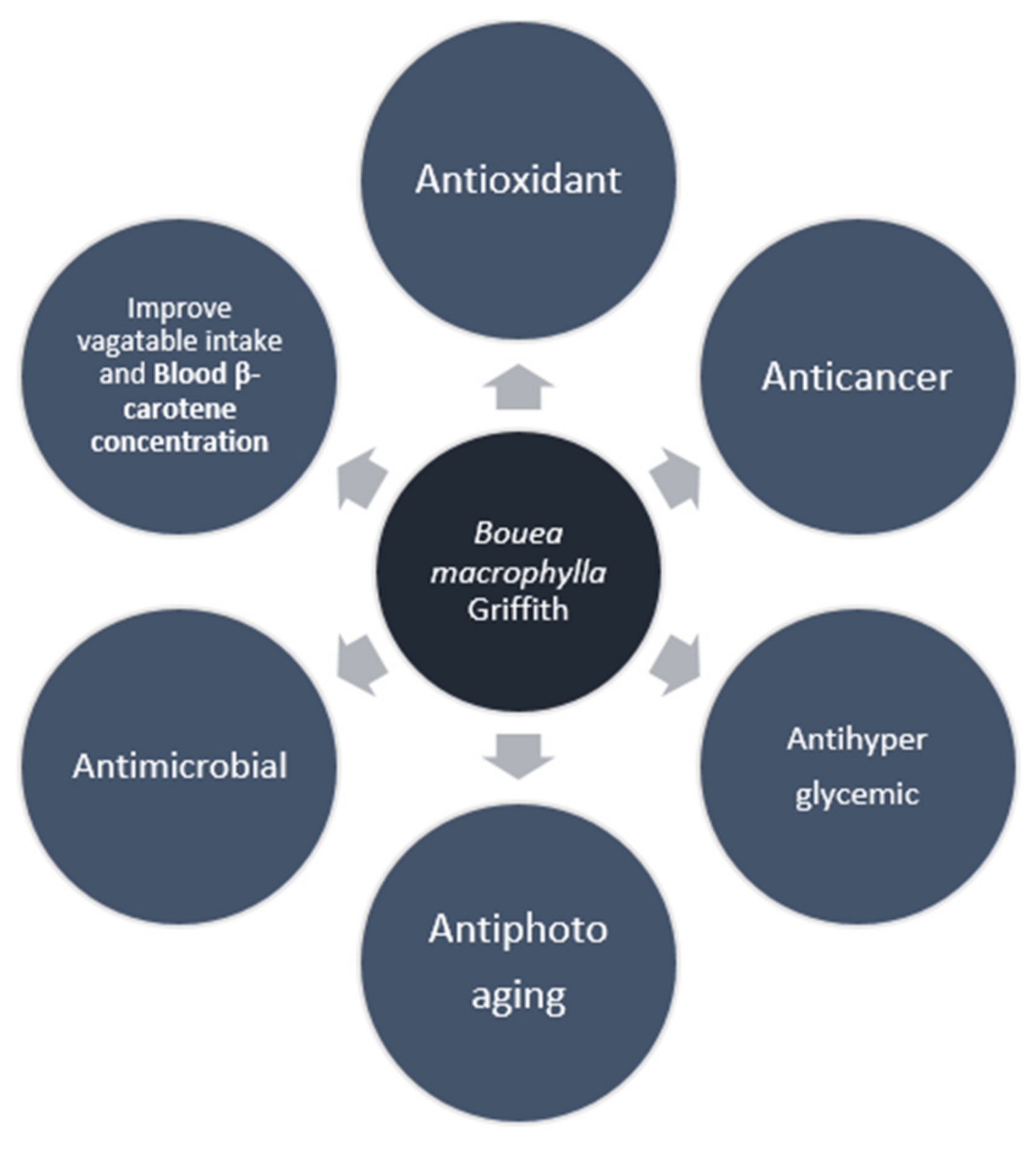 Pharmaceuticals 15 00238 g003 Pharmaceuticals 15 00238 g003