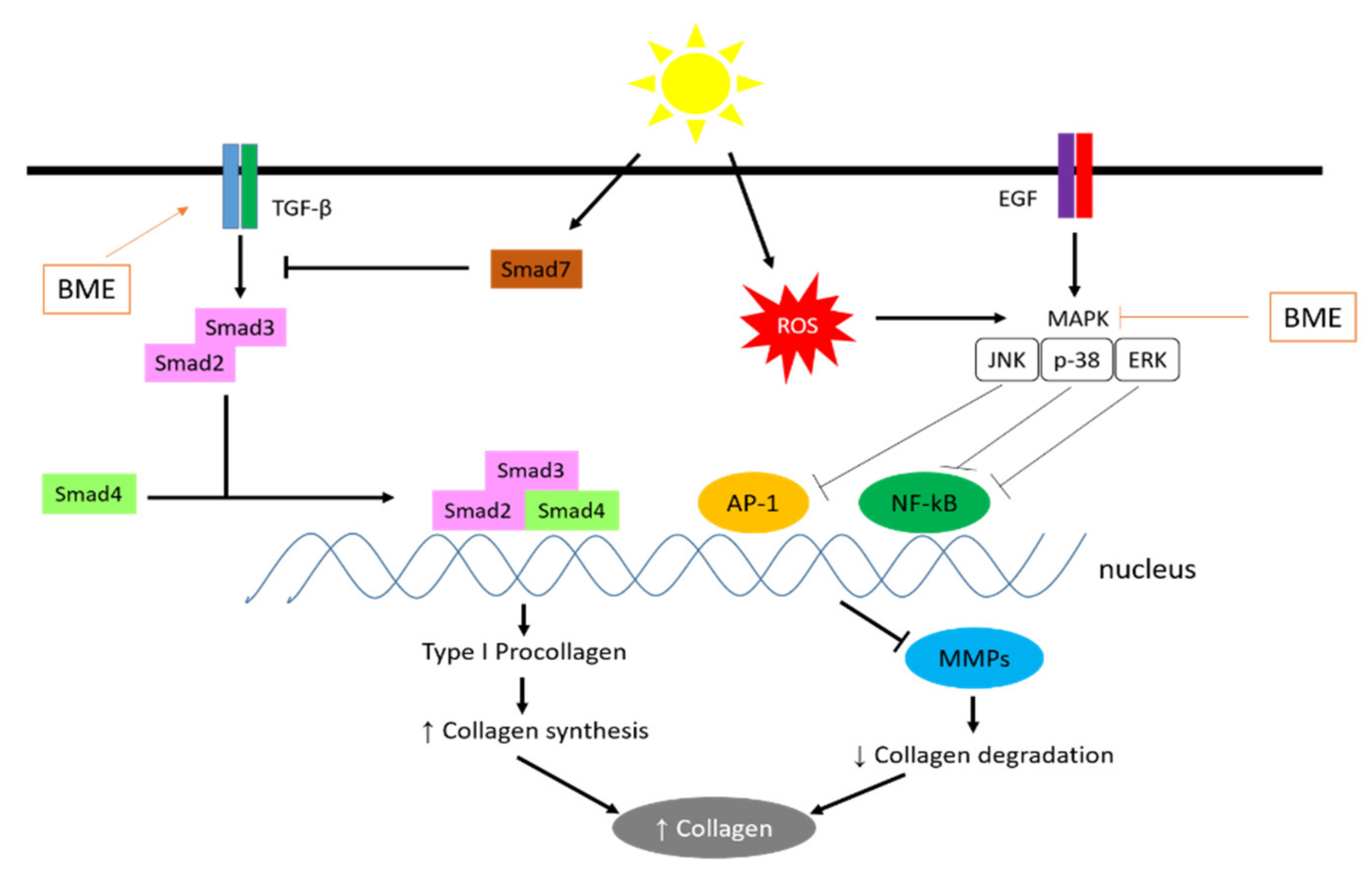 Pharmaceuticals 15 00238 g006 Pharmaceuticals 15 00238 g006