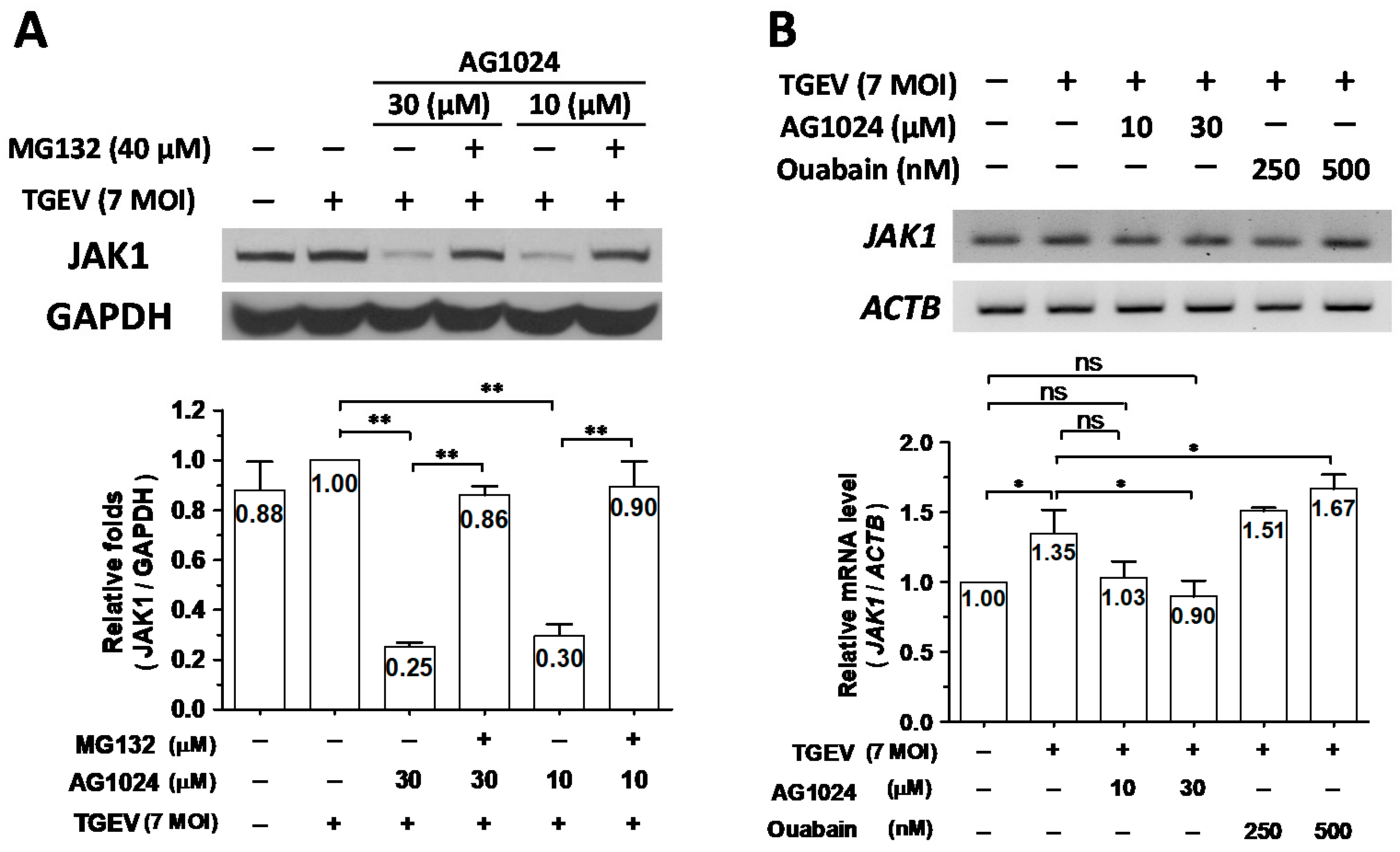 Pharmaceuticals 15 00241 g004