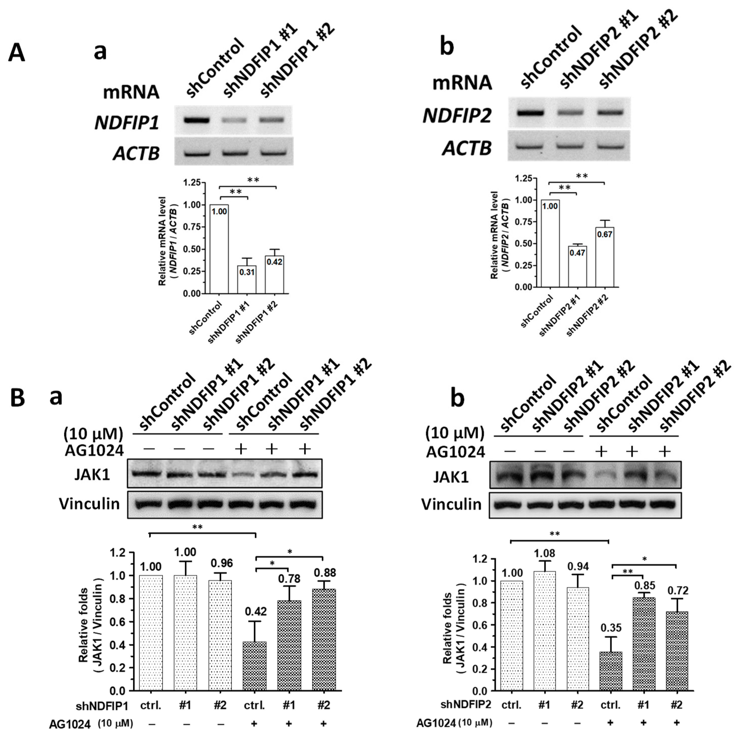Pharmaceuticals 15 00241 g005