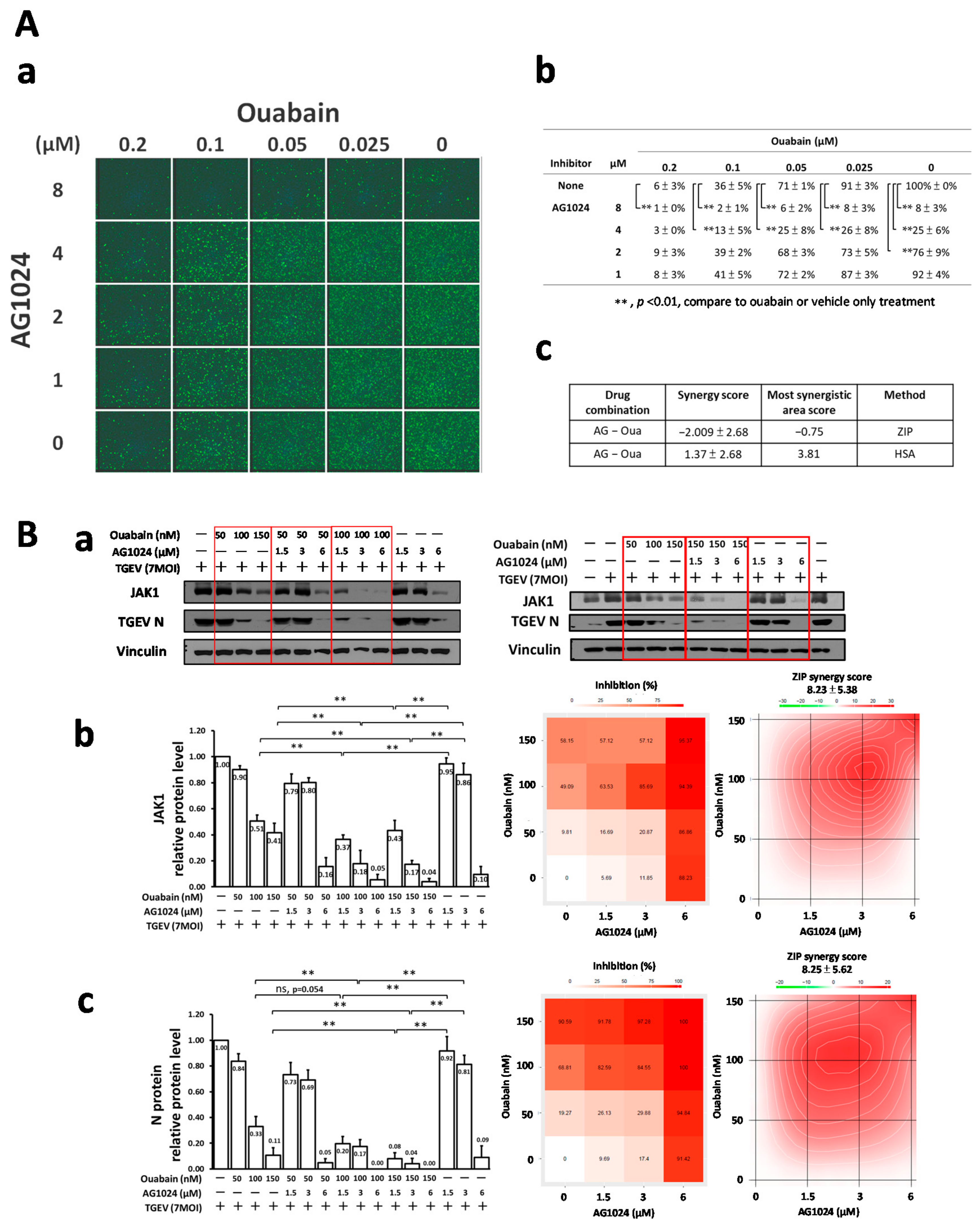 Pharmaceuticals 15 00241 g007
