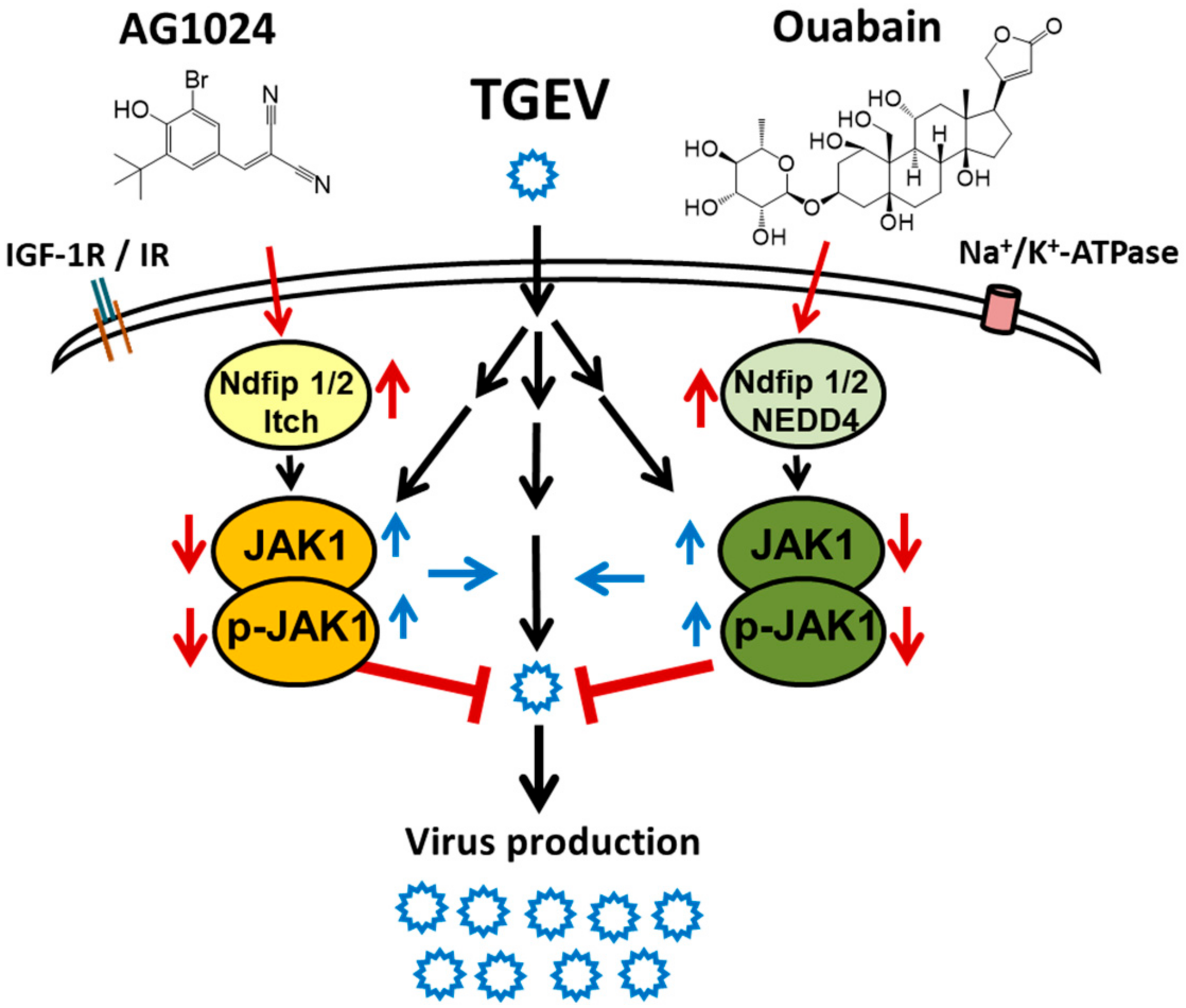 Pharmaceuticals 15 00241 g008