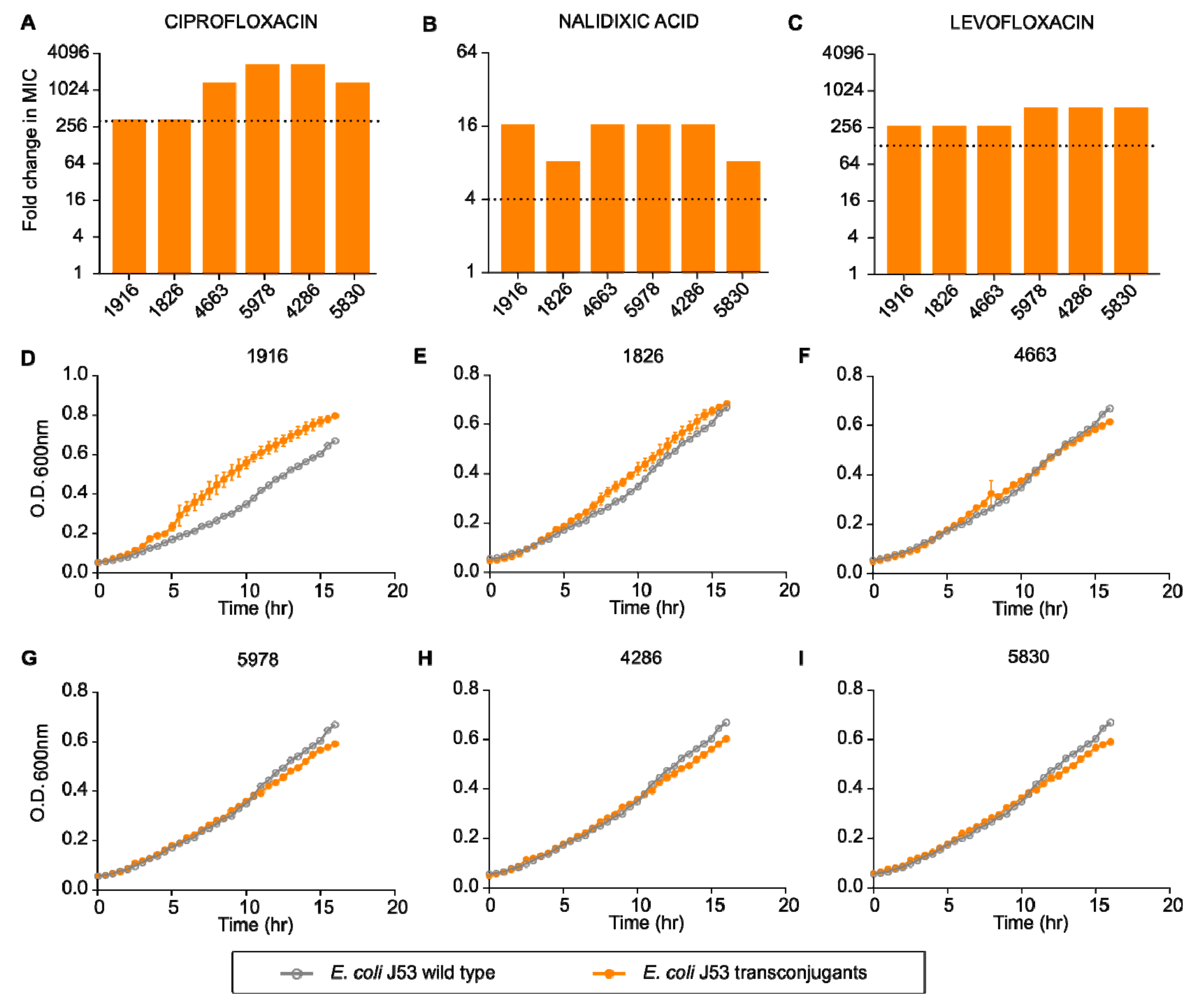 Pharmaceuticals 15 00243 g004