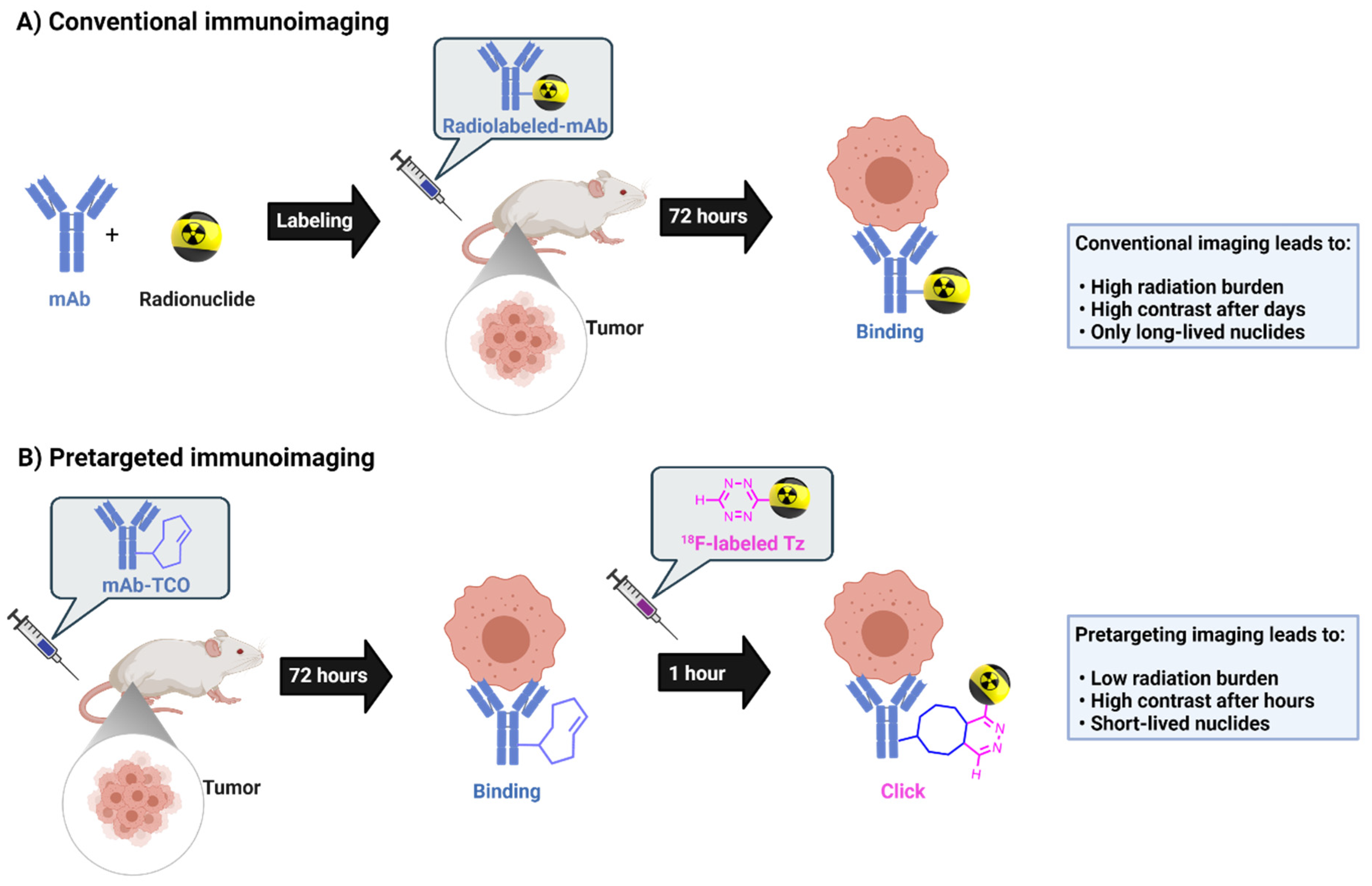Pharmaceuticals 15 00245 g001 550