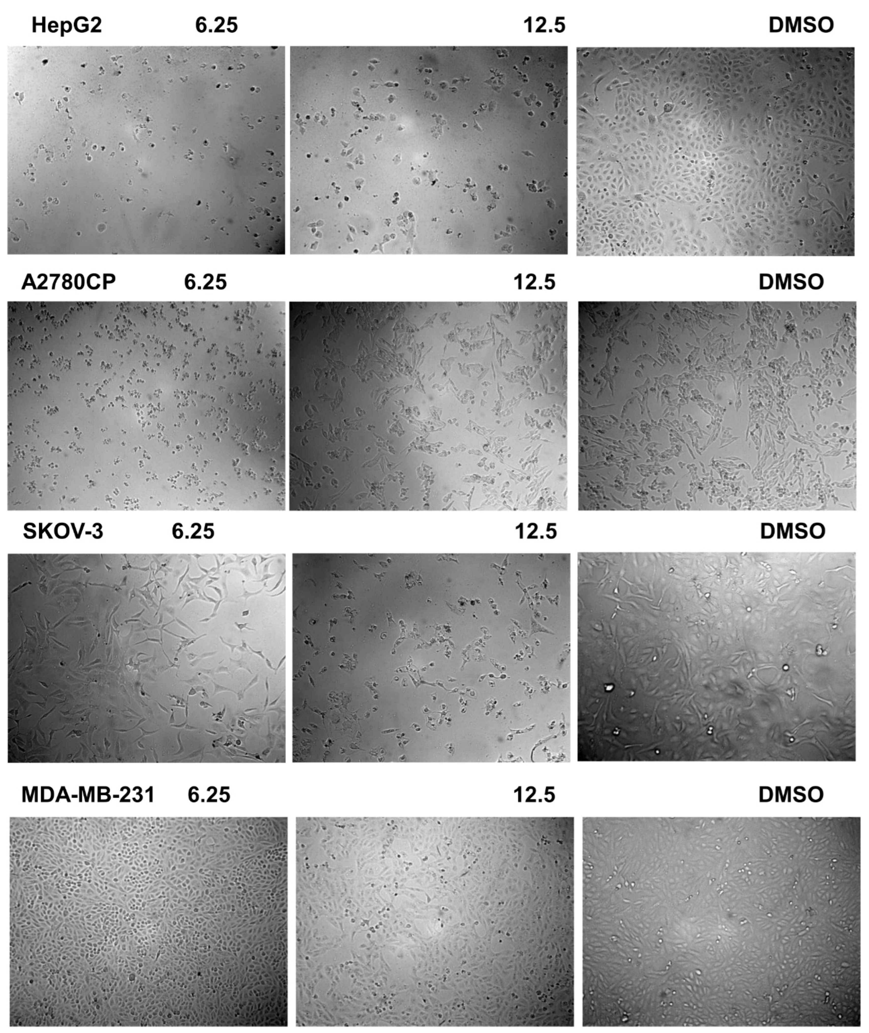 Pharmaceuticals 15 00246 g006 Pharmaceuticals 15 00246 g006