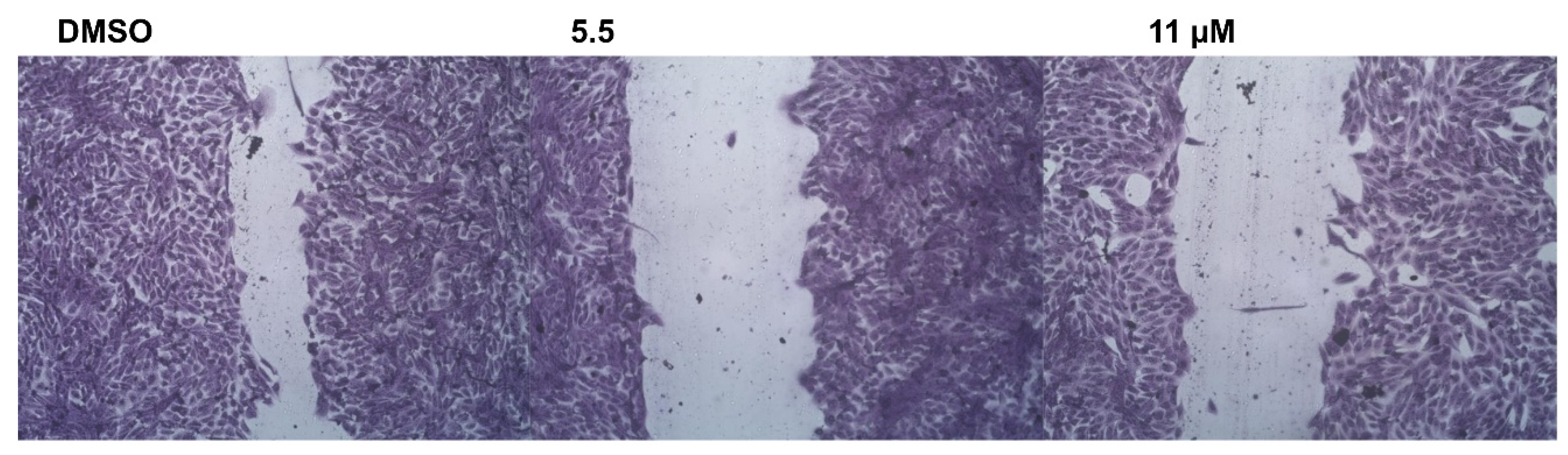 Pharmaceuticals 15 00246 g010 Pharmaceuticals 15 00246 g010