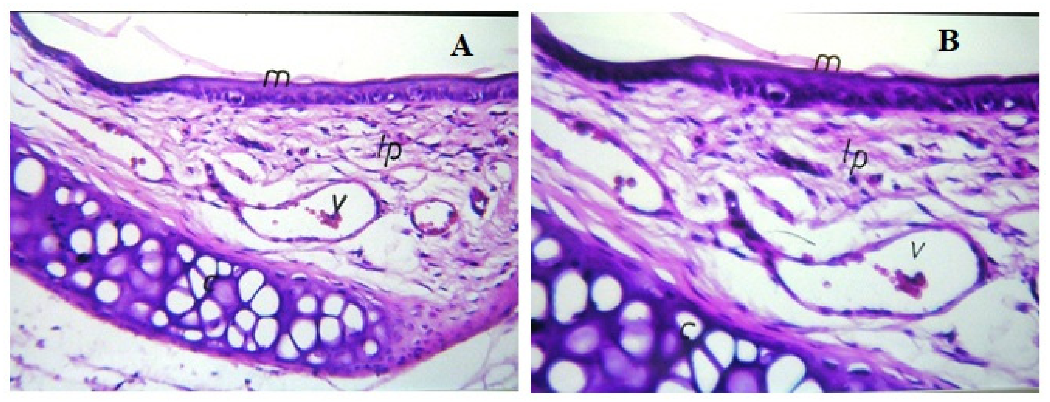 Pharmaceuticals 15 00249 g010 Pharmaceuticals 15 00249 g010