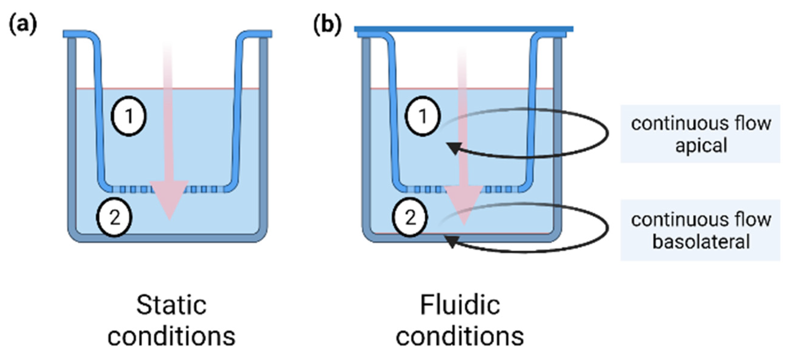 Pharmaceuticals 15 00250 g007 550