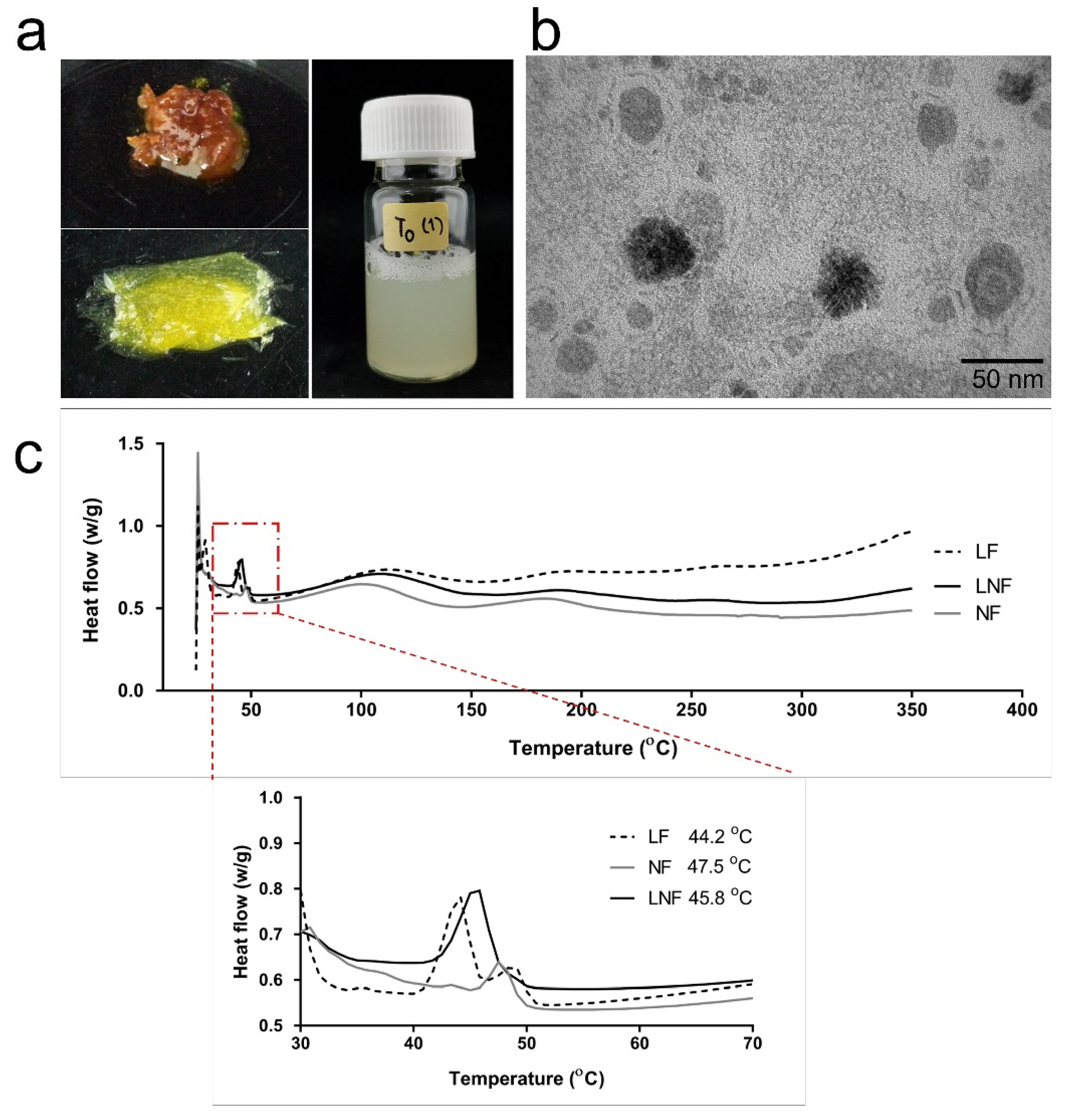 Pharmaceuticals 15 00254 g003 Pharmaceuticals 15 00254 g003