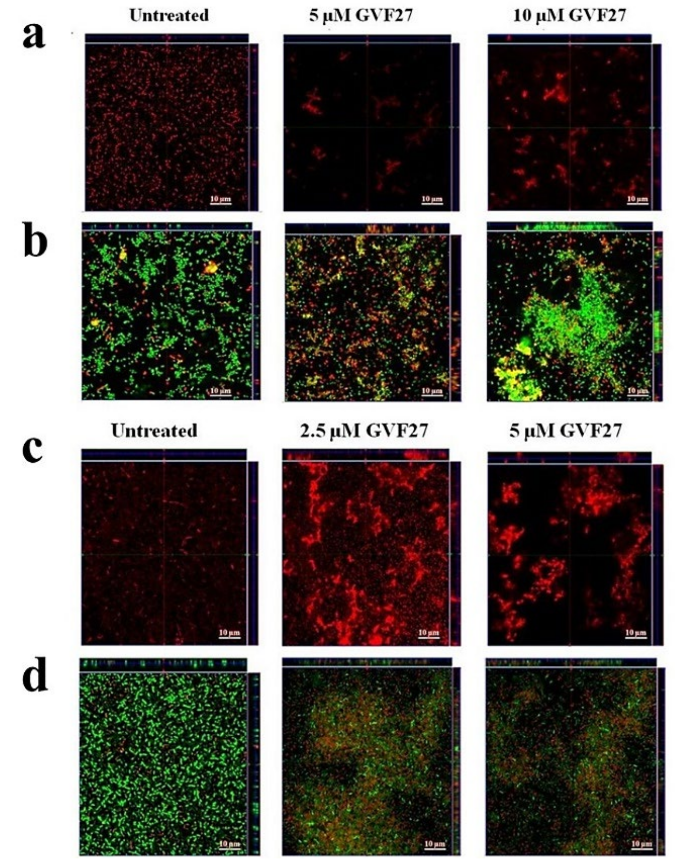 Pharmaceuticals 15 00260 g005