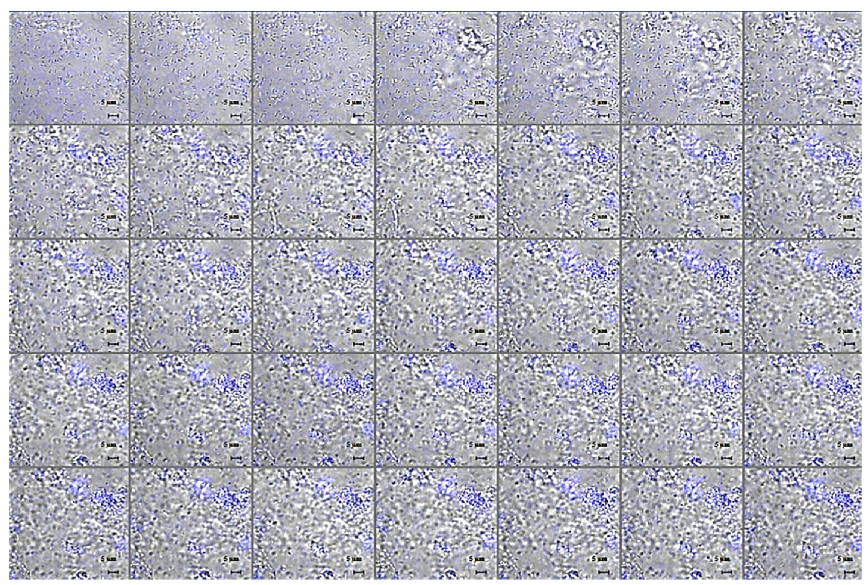 Pharmaceuticals 15 00260 g008