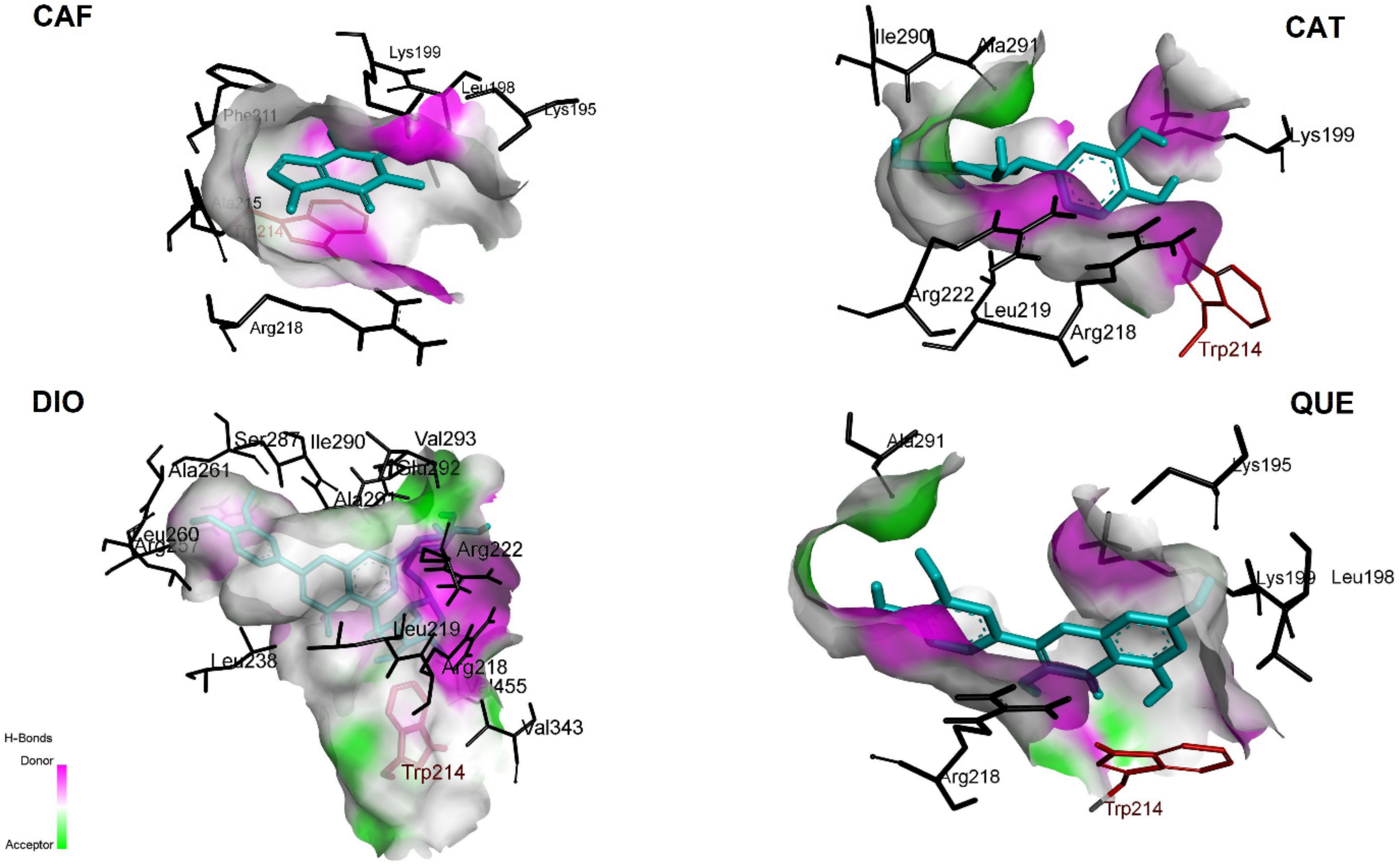 Pharmaceuticals 15 00266 g011 Pharmaceuticals 15 00266 g011