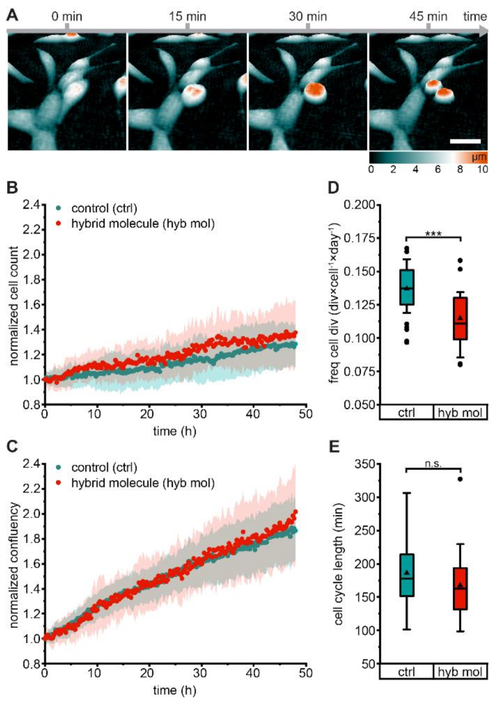 Pharmaceuticals 15 00267 g003 550