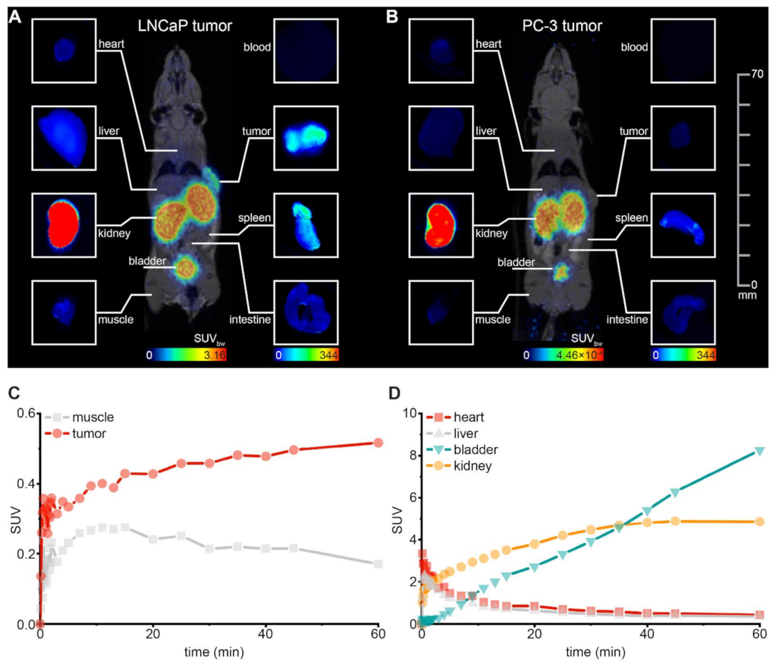 Pharmaceuticals 15 00267 g005 550