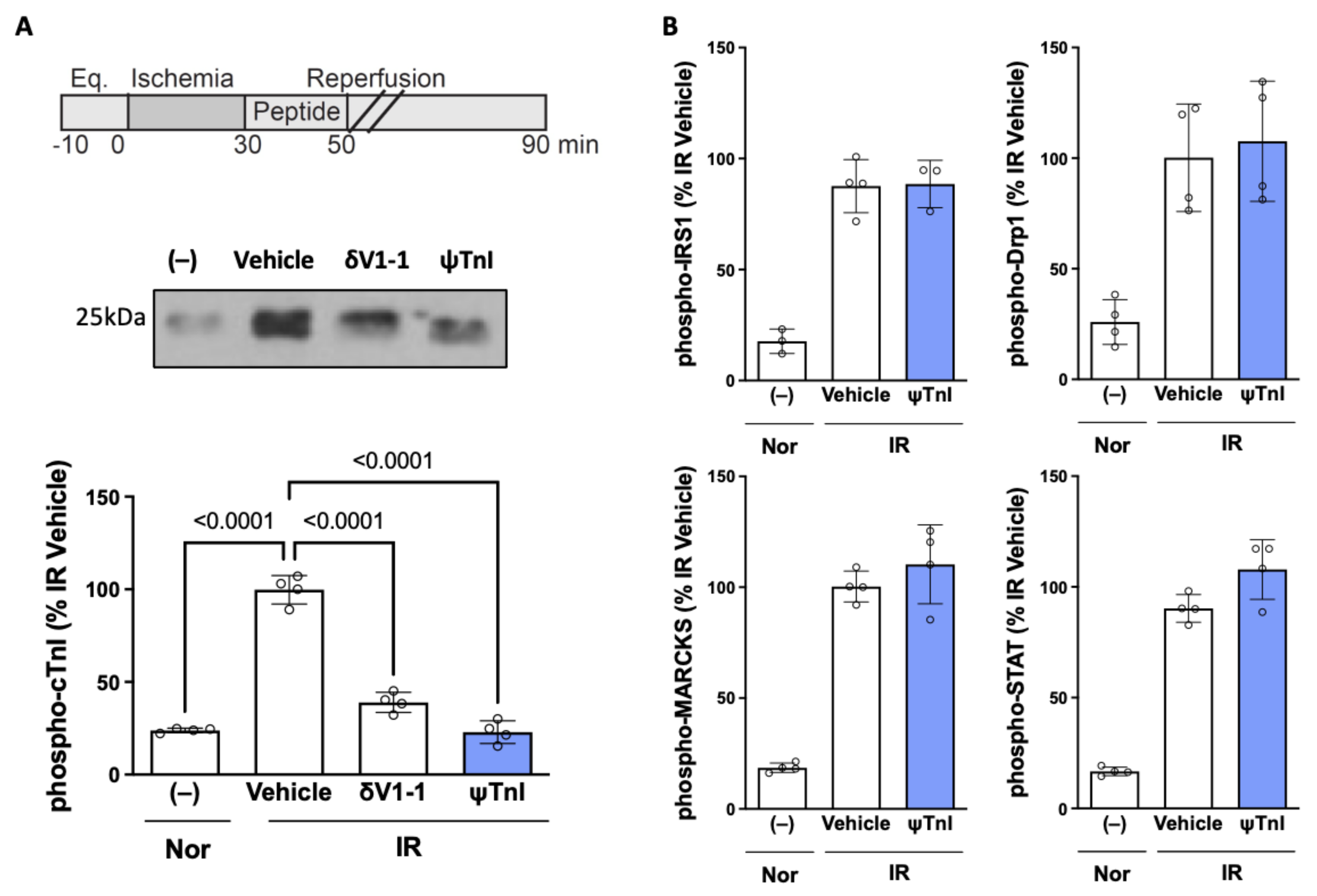 Pharmaceuticals 15 00271 g003 550