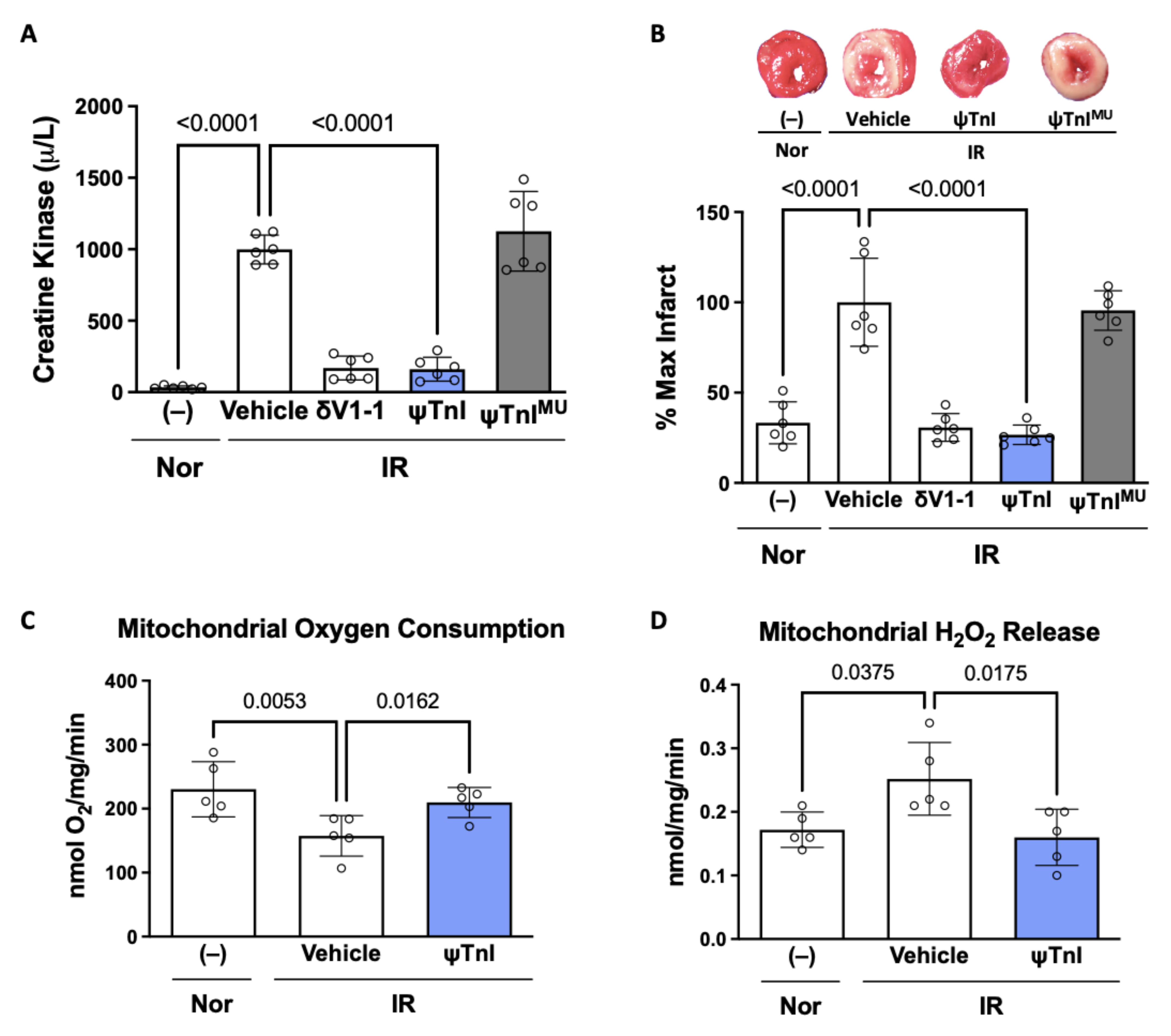 Pharmaceuticals 15 00271 g004 550