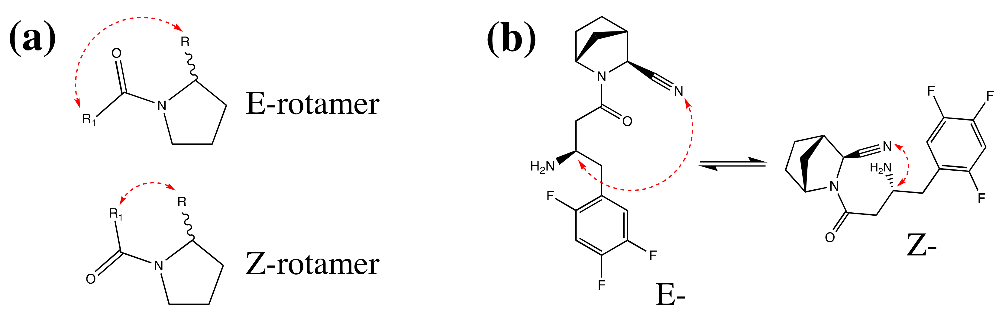 Pharmaceuticals 15 00273 g009