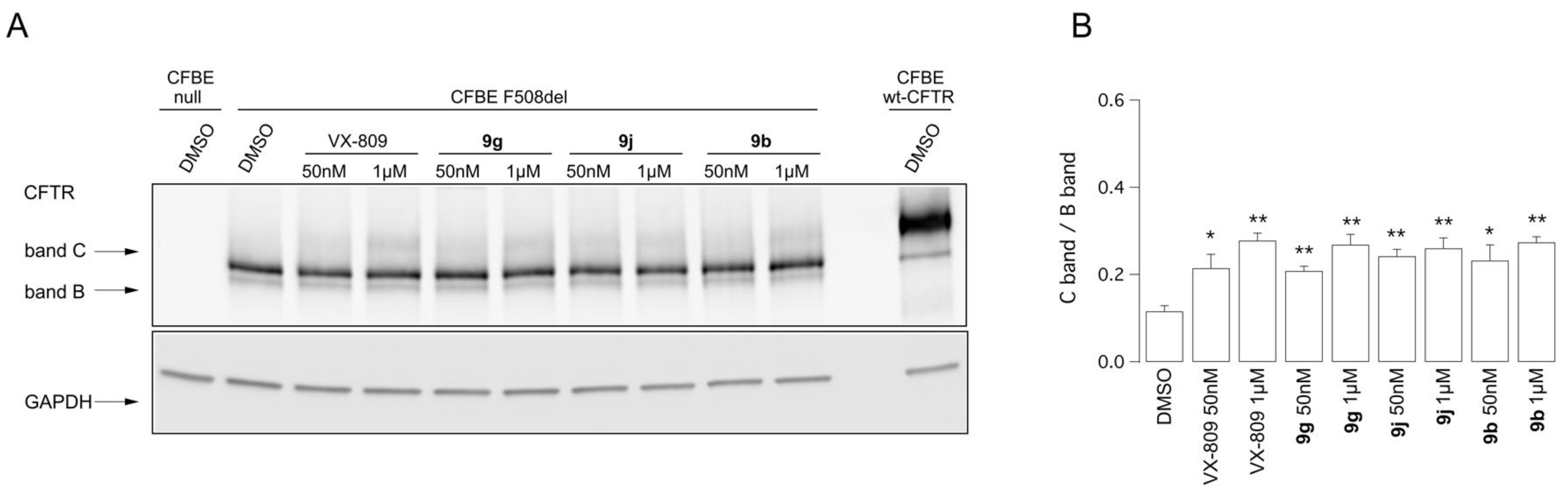 Pharmaceuticals 15 00274 g008