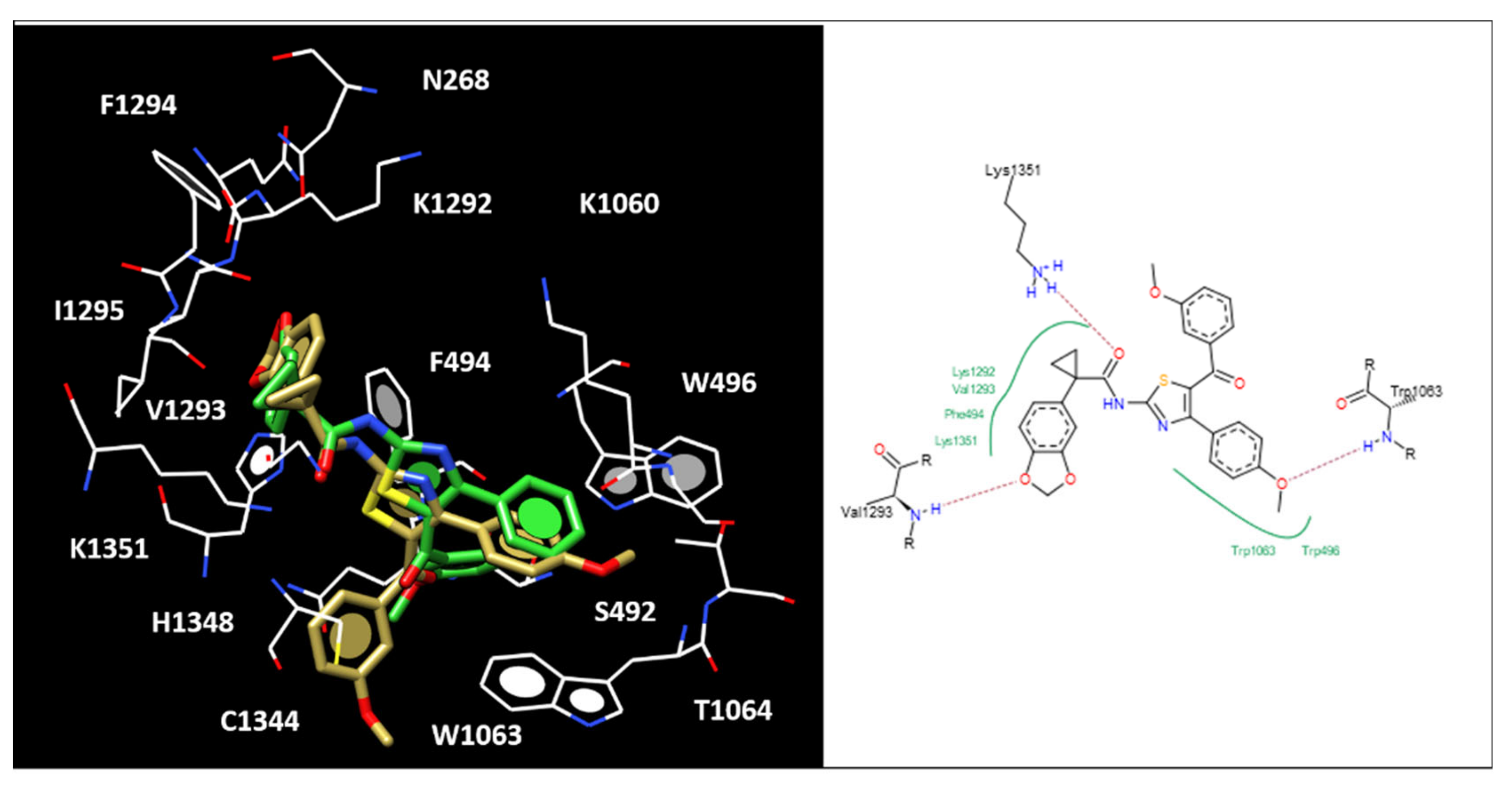 Pharmaceuticals 15 00274 g010