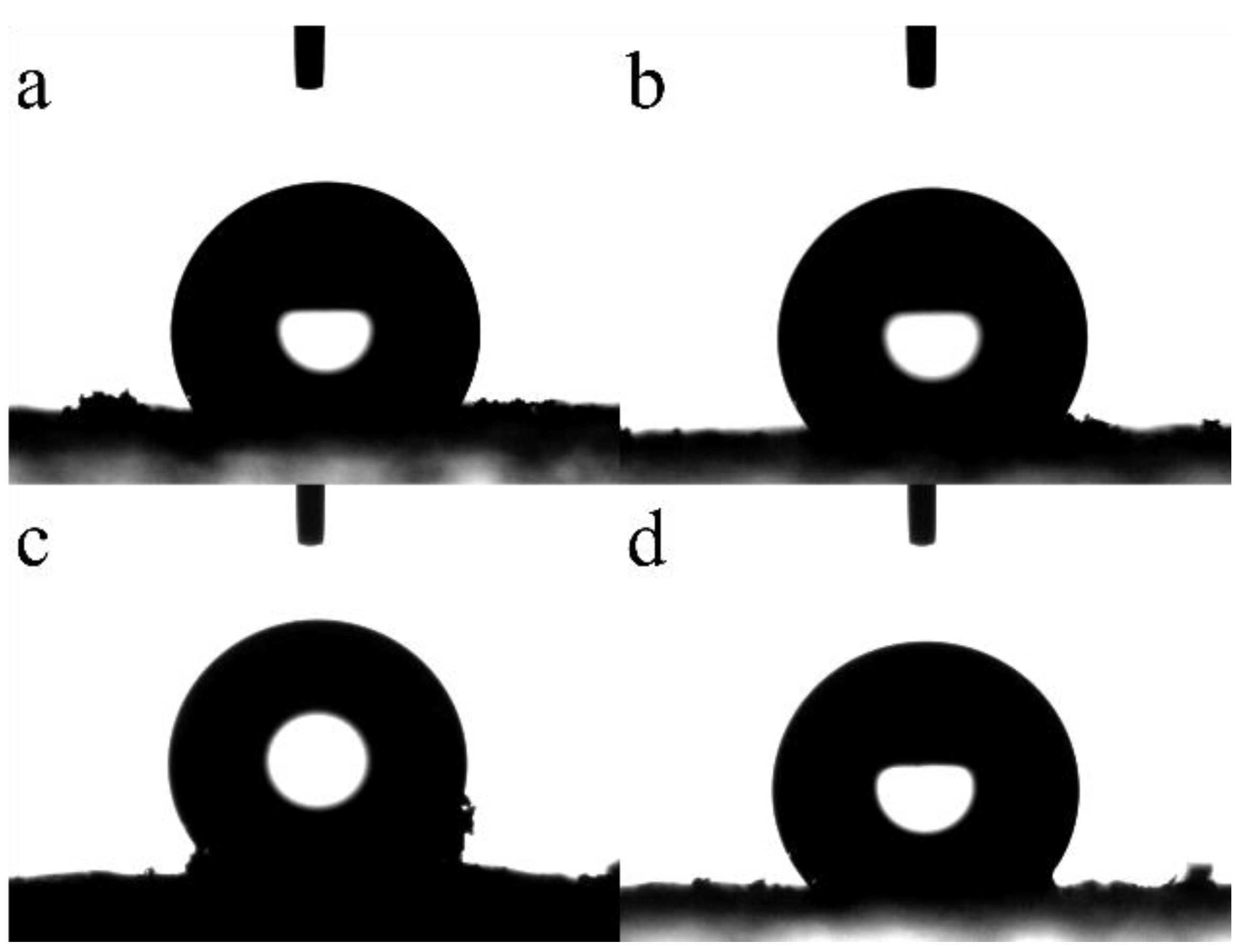 Pharmaceuticals 15 00275 g004
