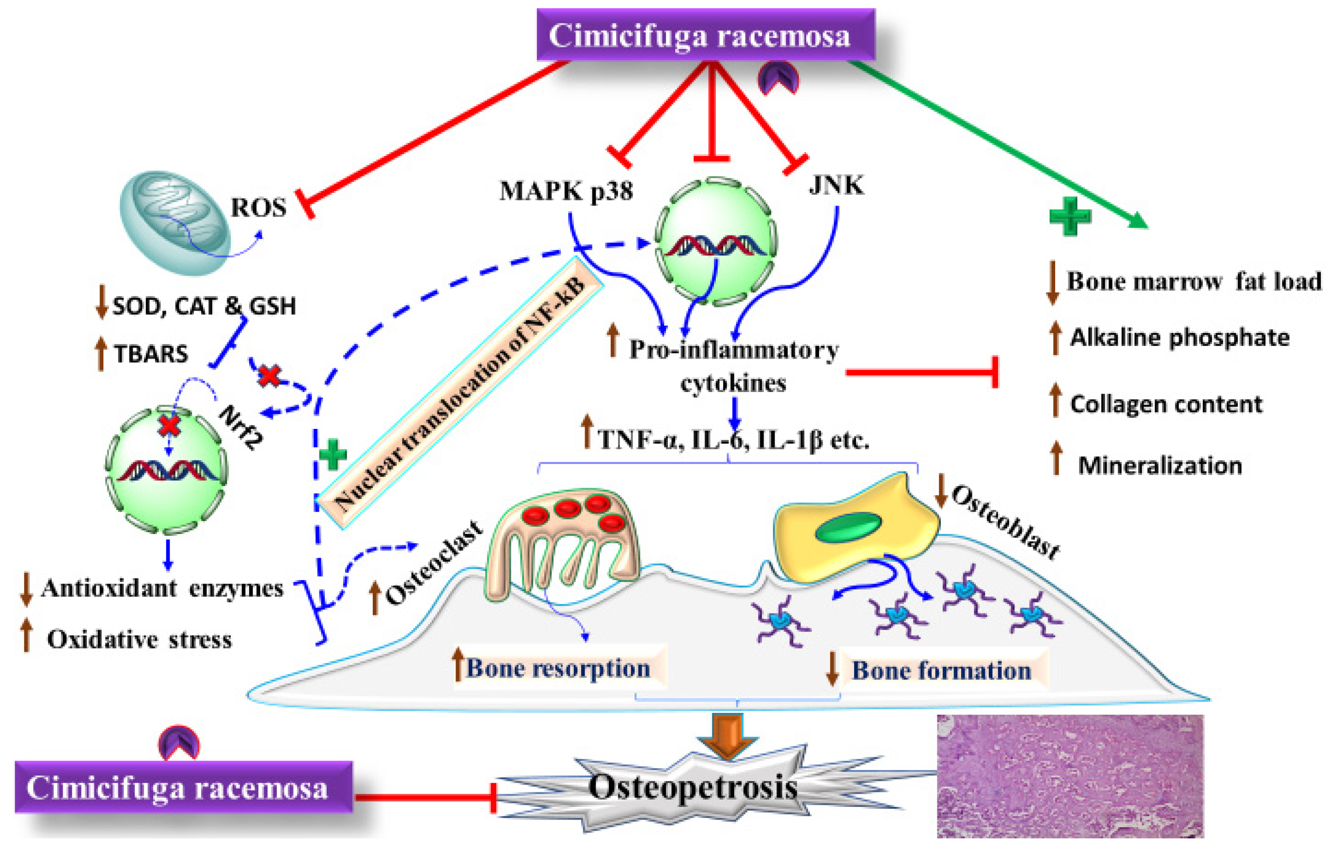 Pharmaceuticals 15 00278 g002 Pharmaceuticals 15 00278 g002