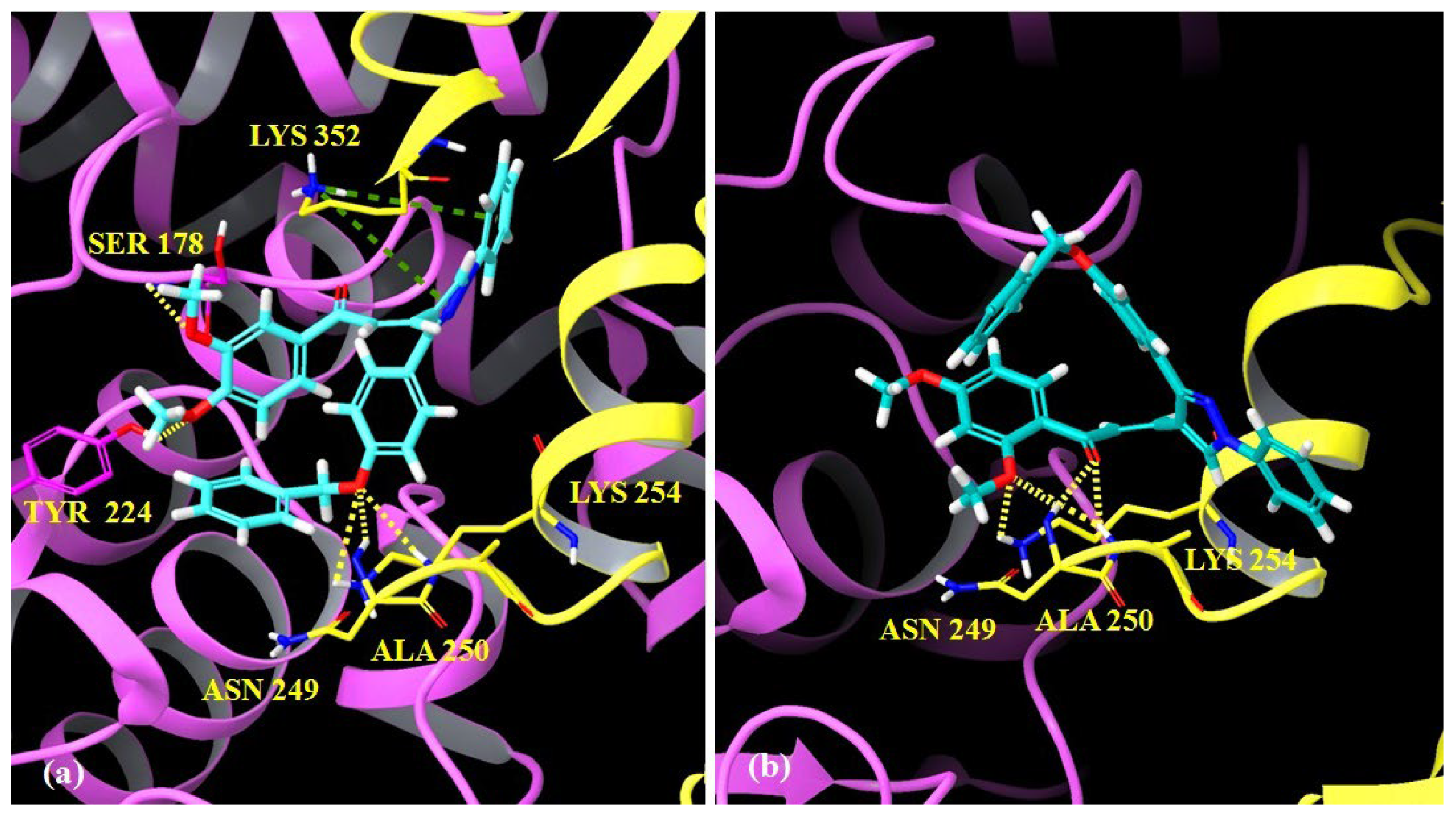 Pharmaceuticals 15 00280 g004