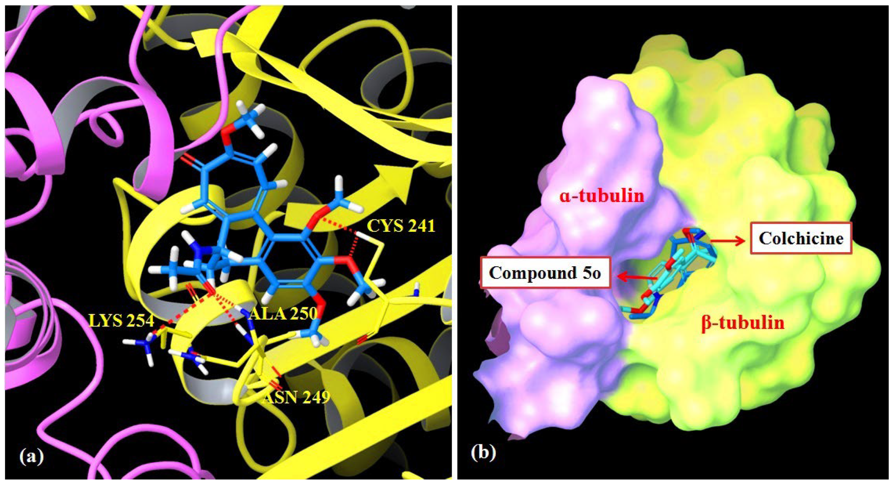 Pharmaceuticals 15 00280 g005