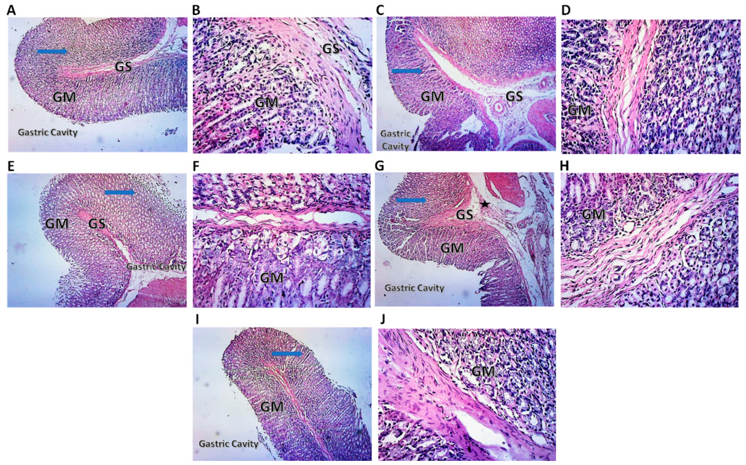 Pharmaceuticals 15 00282 g007