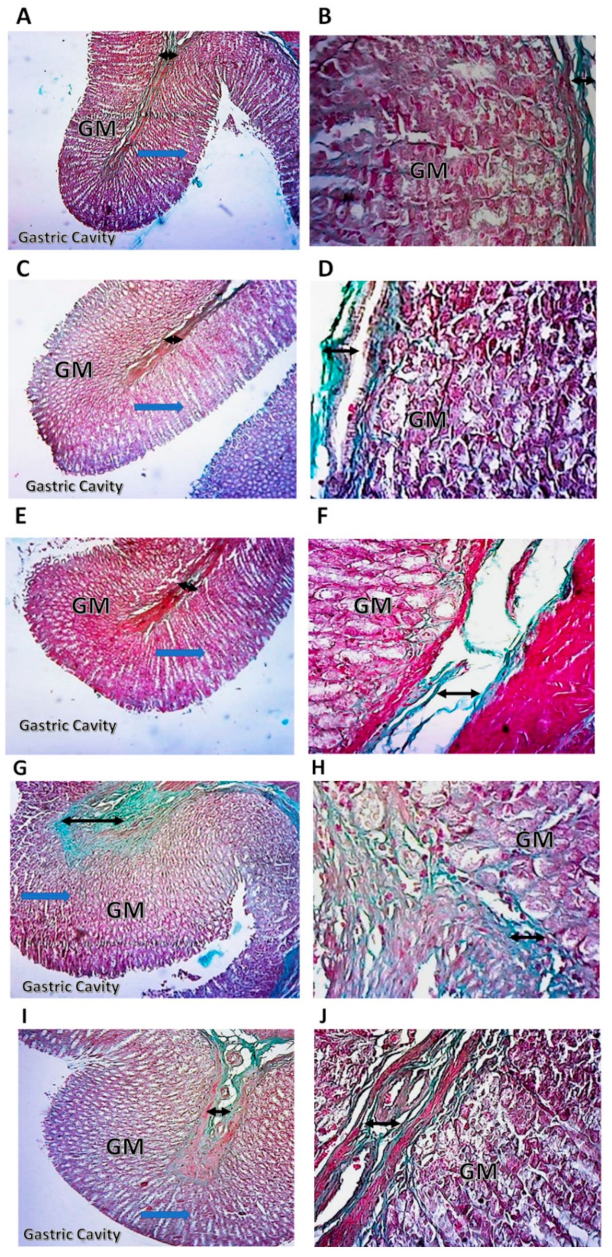 Pharmaceuticals 15 00282 g008