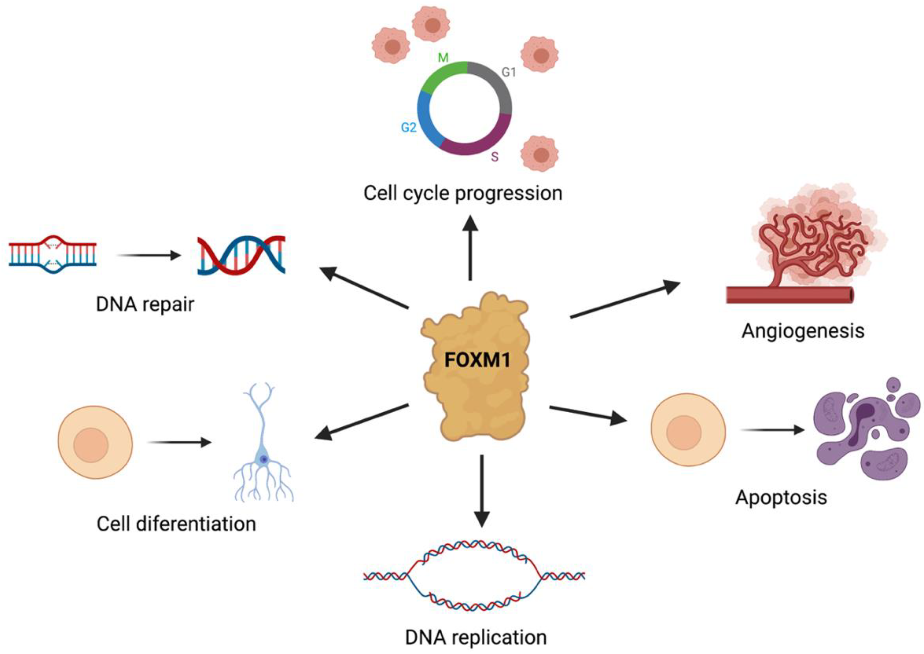Pharmaceuticals 15 00283 g001