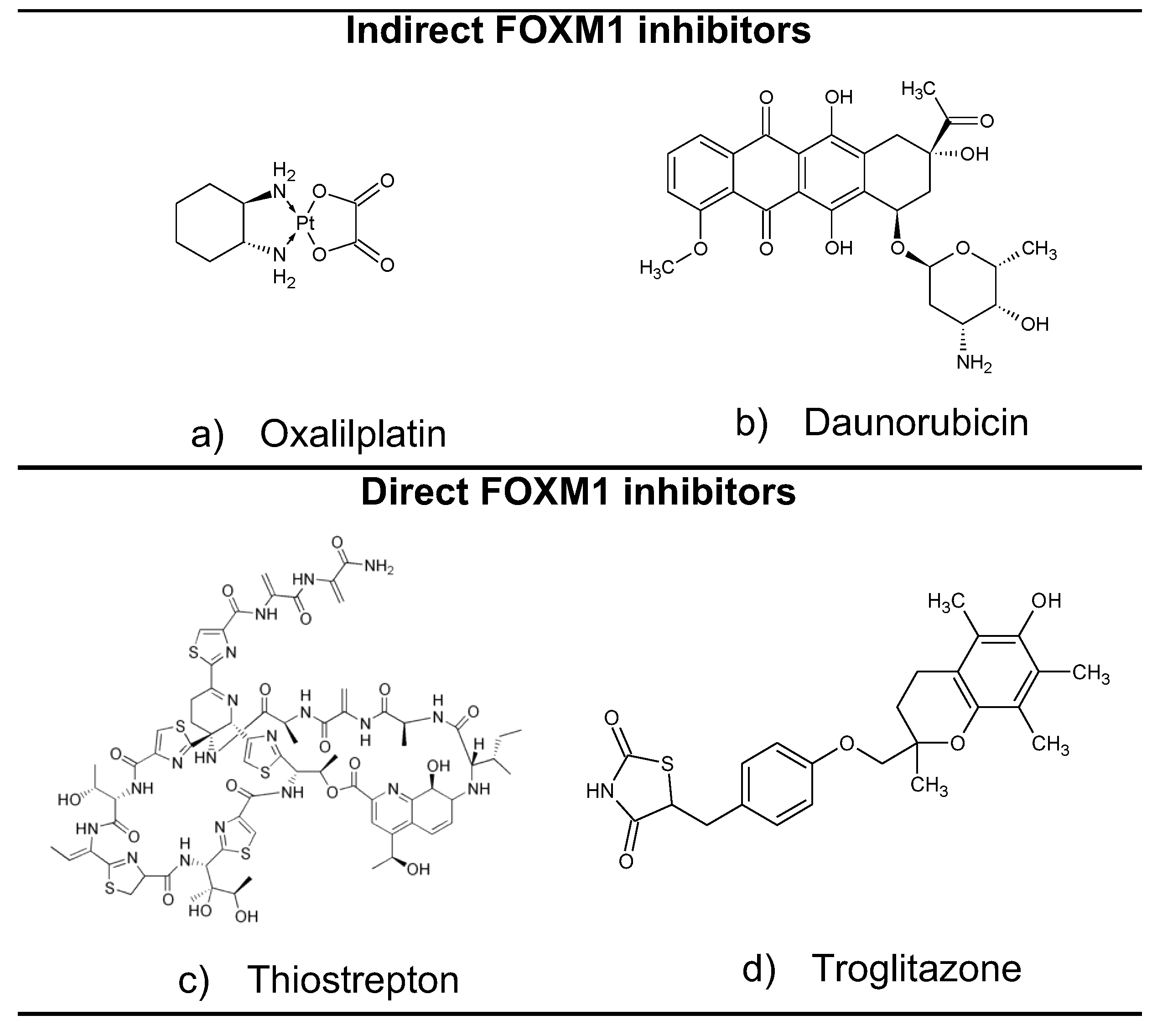 Pharmaceuticals 15 00283 g002