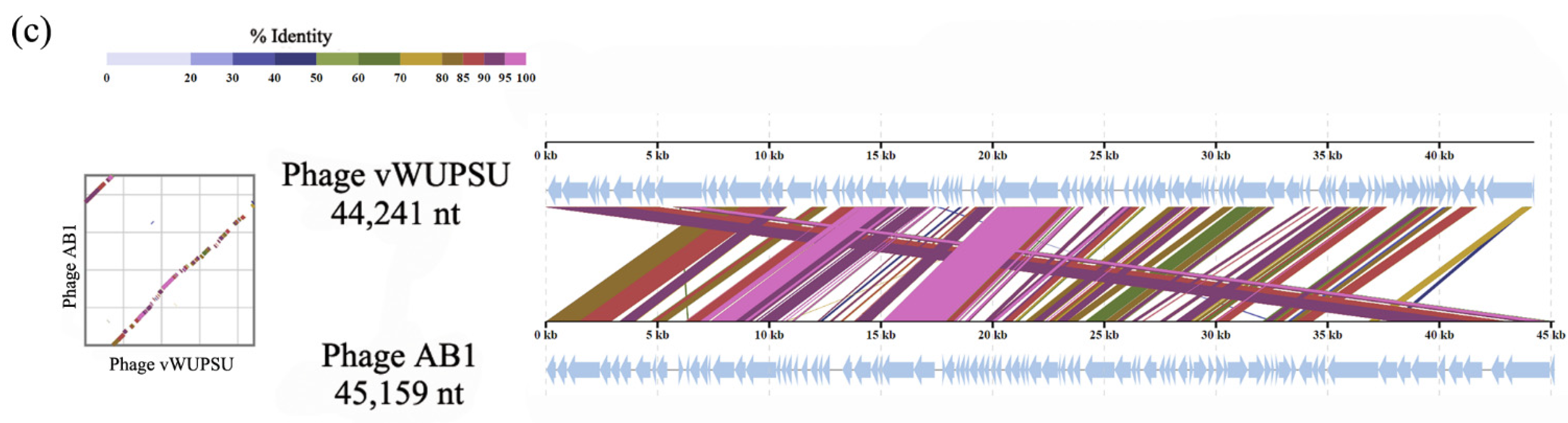 Pharmaceuticals 15 00291 g002b