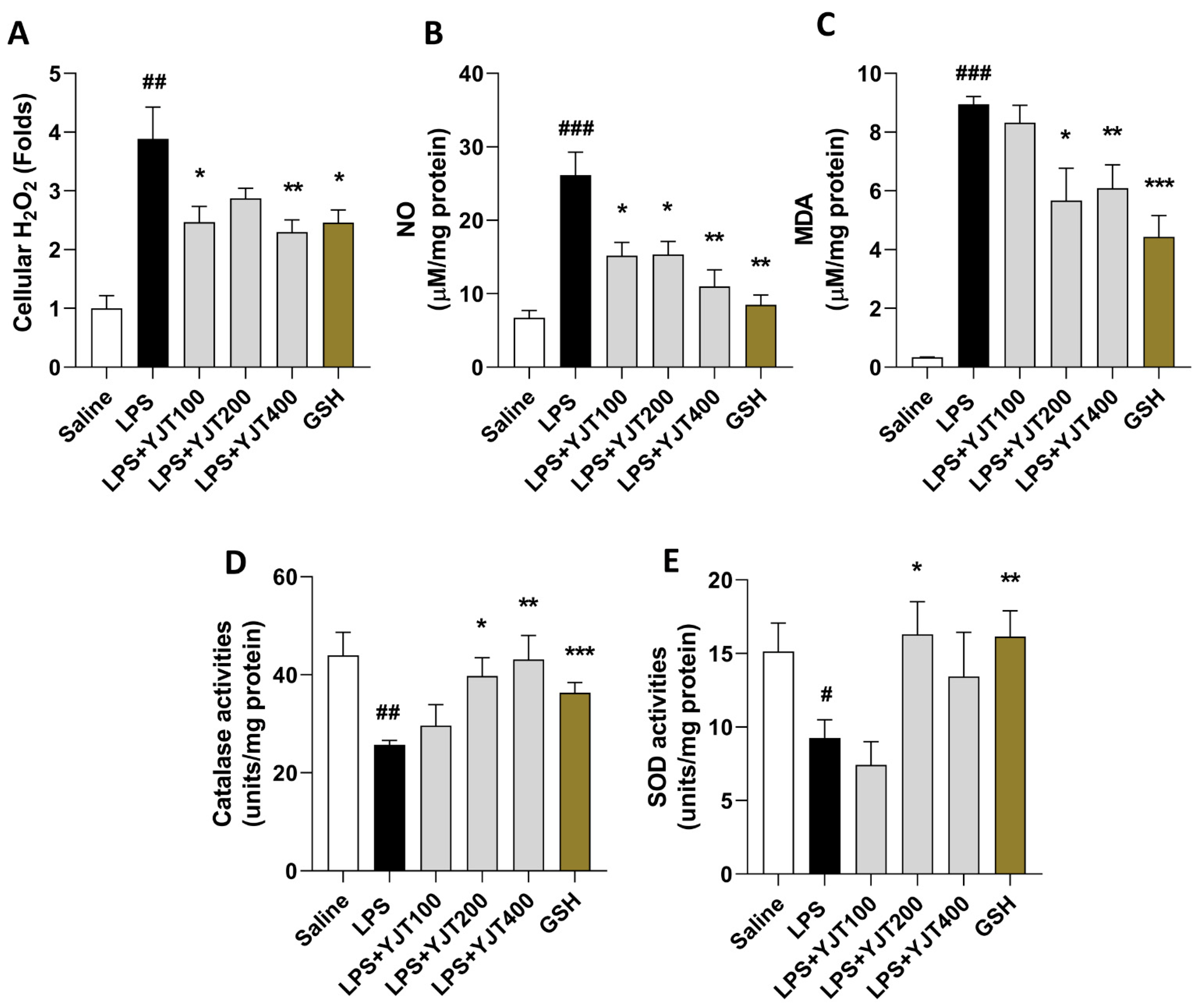 Pharmaceuticals 15 00293 g001
