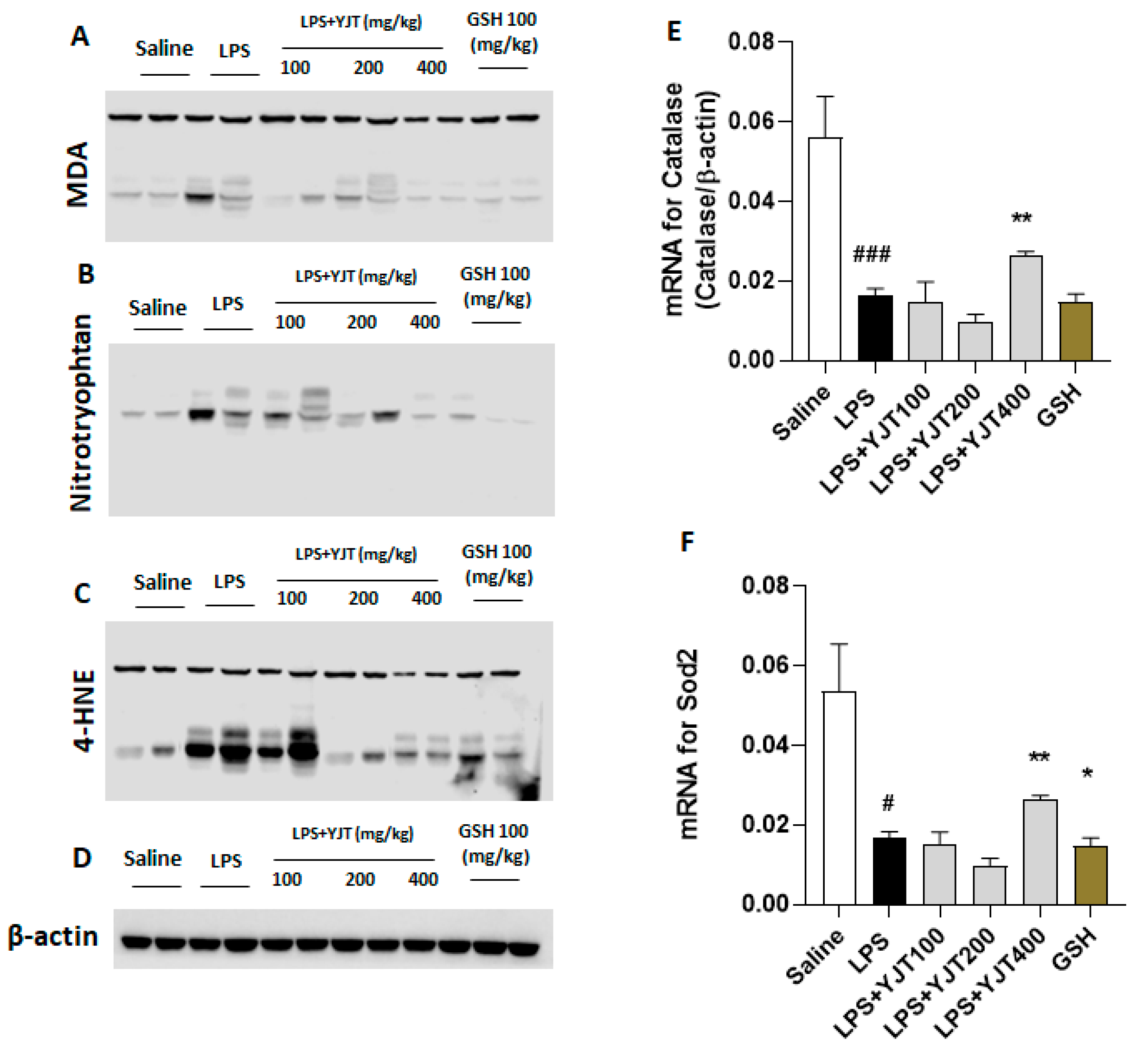 Pharmaceuticals 15 00293 g002