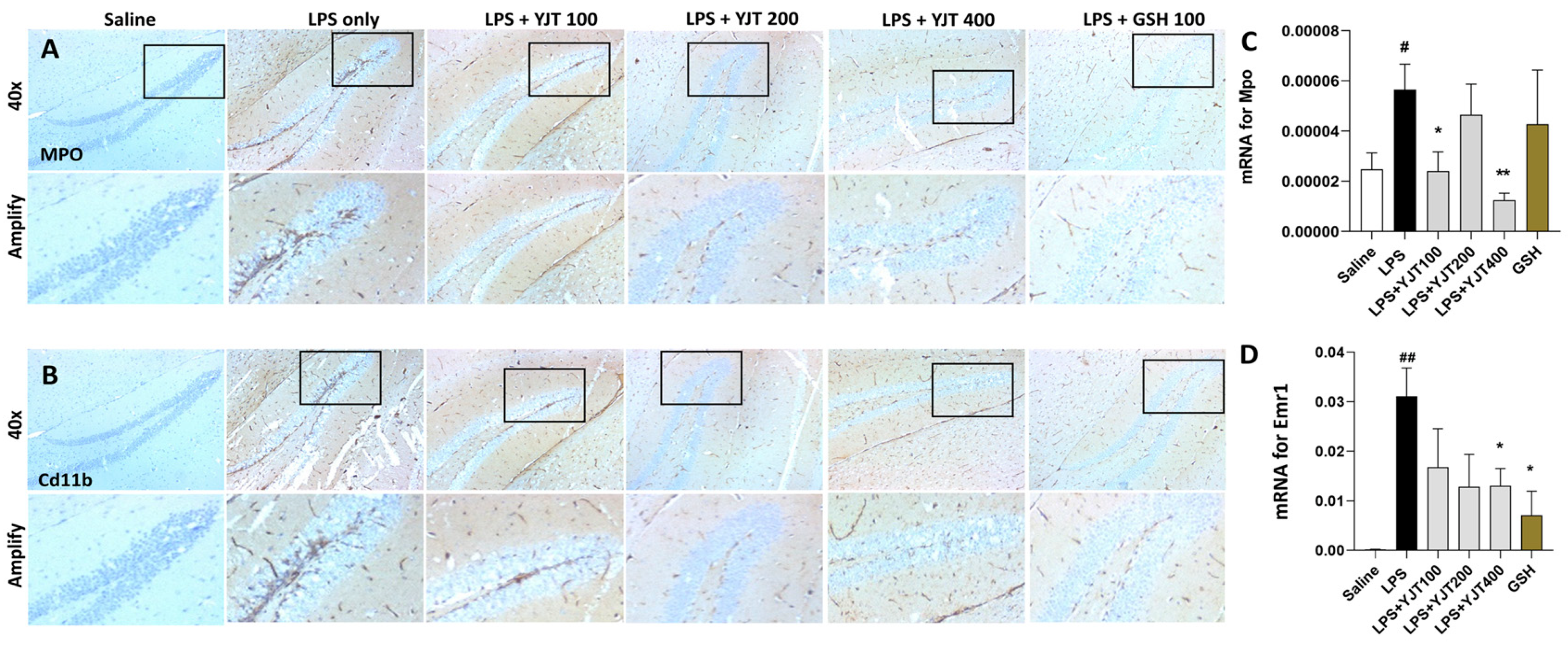 Pharmaceuticals 15 00293 g003
