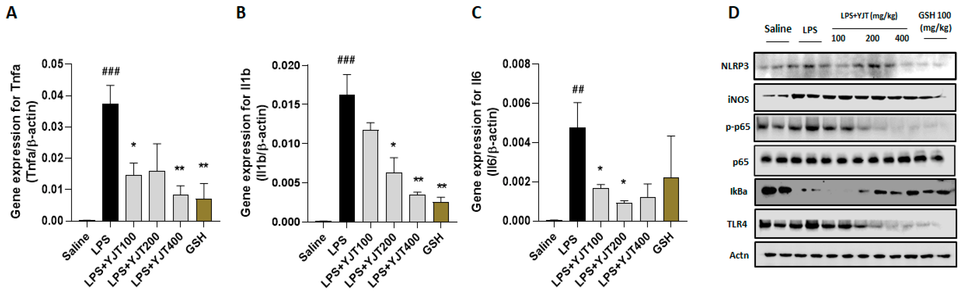 Pharmaceuticals 15 00293 g004