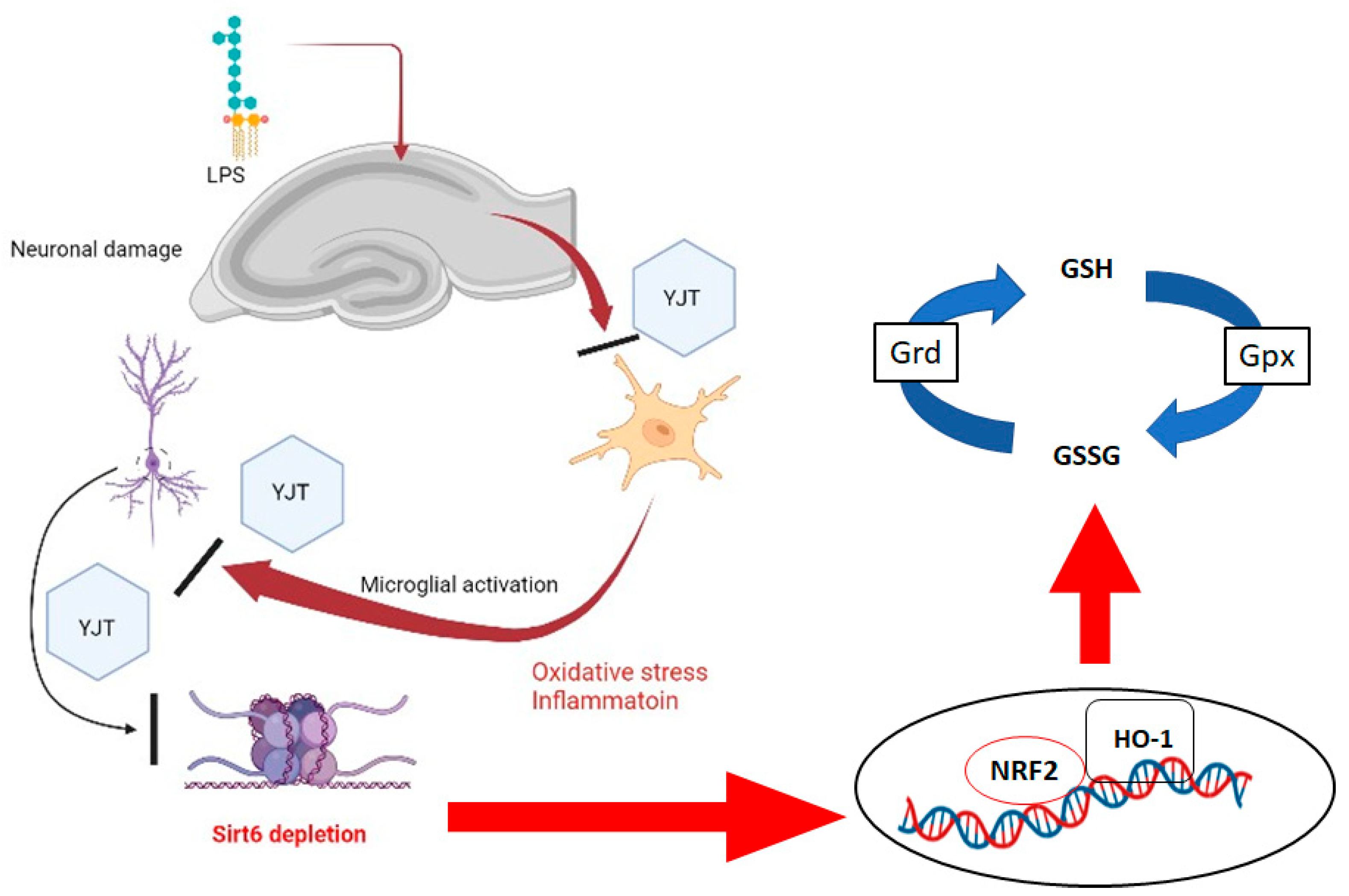 Pharmaceuticals 15 00293 g008