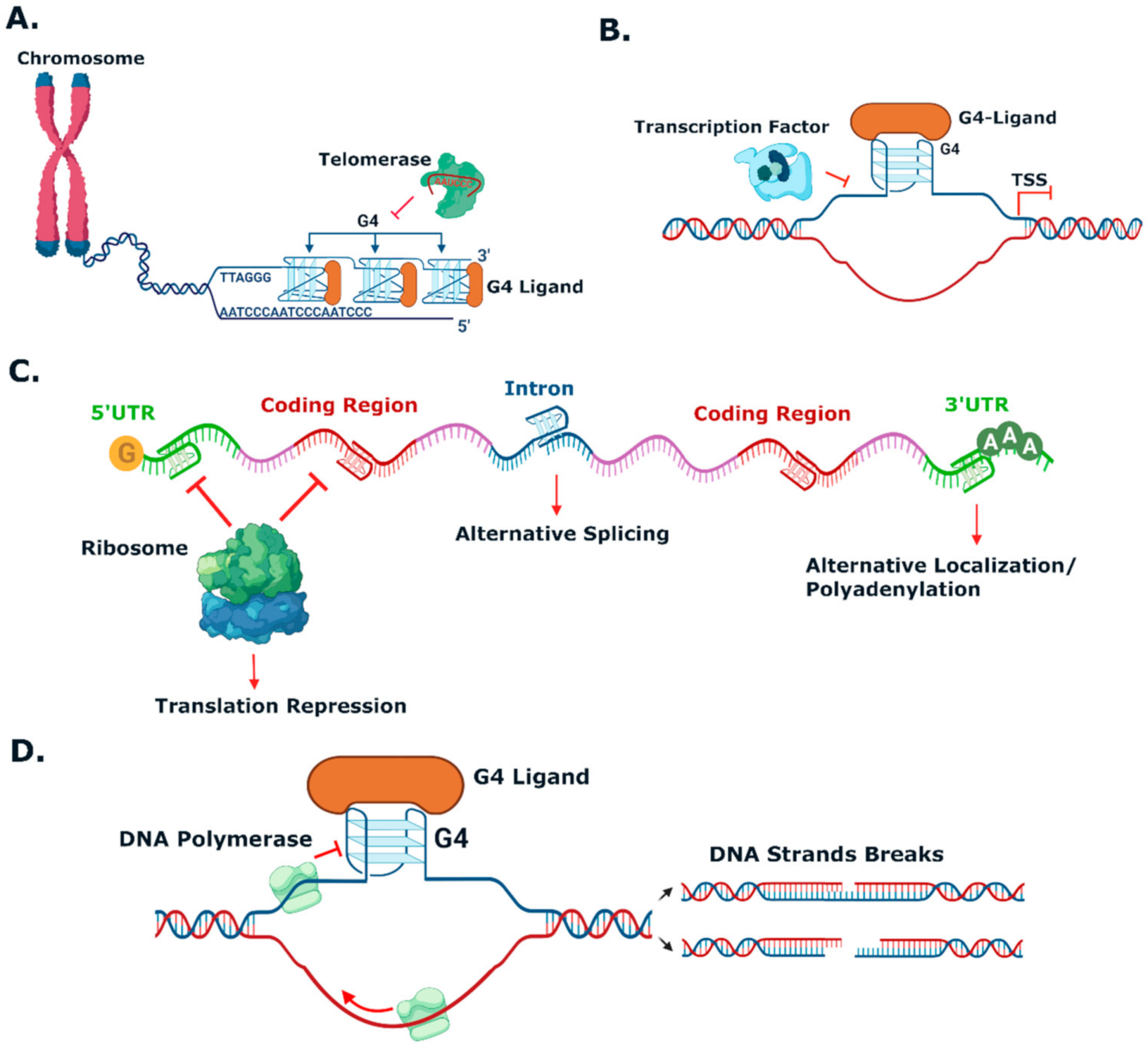 Pharmaceuticals 15 00300 g003 Pharmaceuticals 15 00300 g003