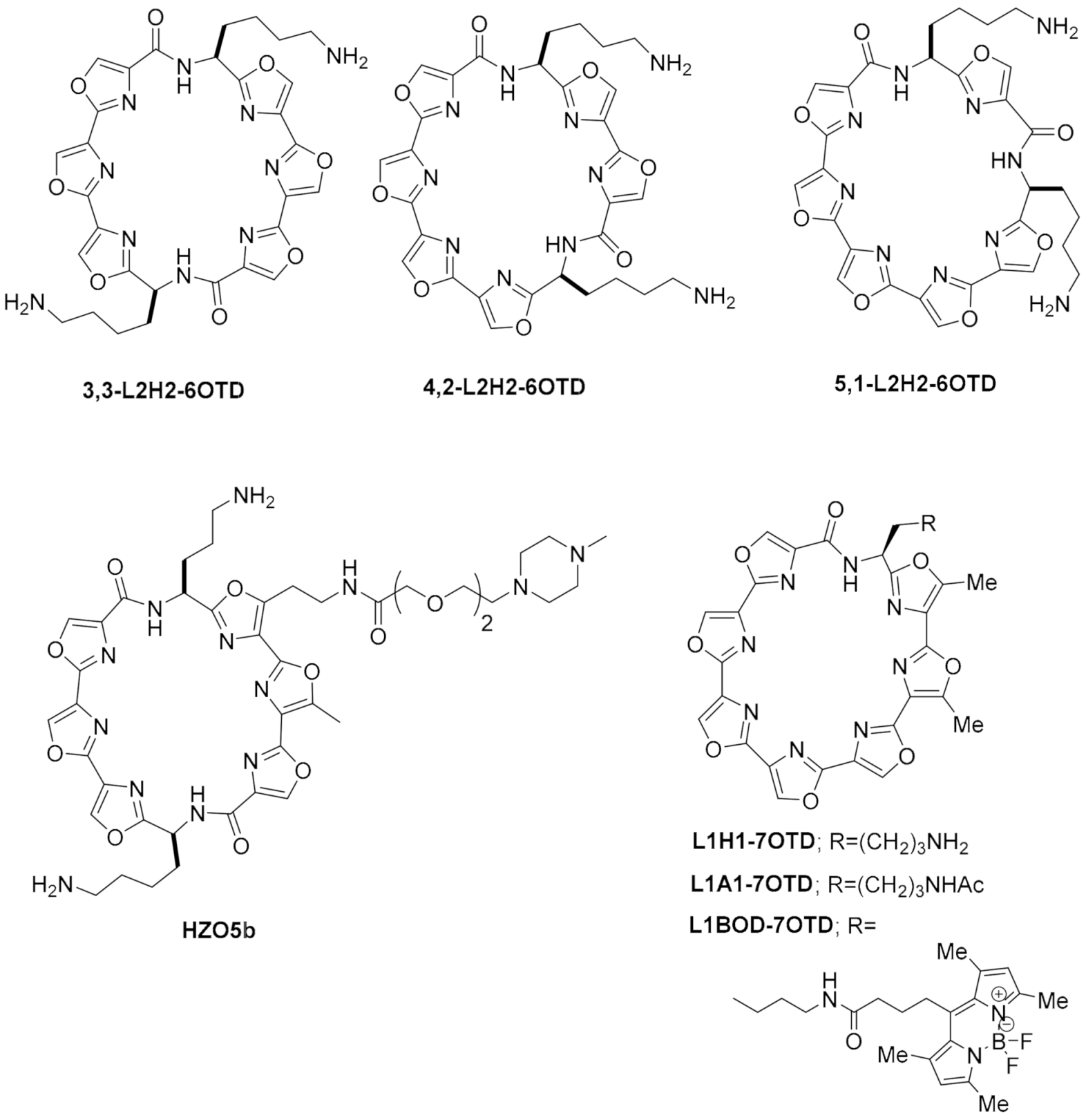 Pharmaceuticals 15 00300 g015 Pharmaceuticals 15 00300 g015