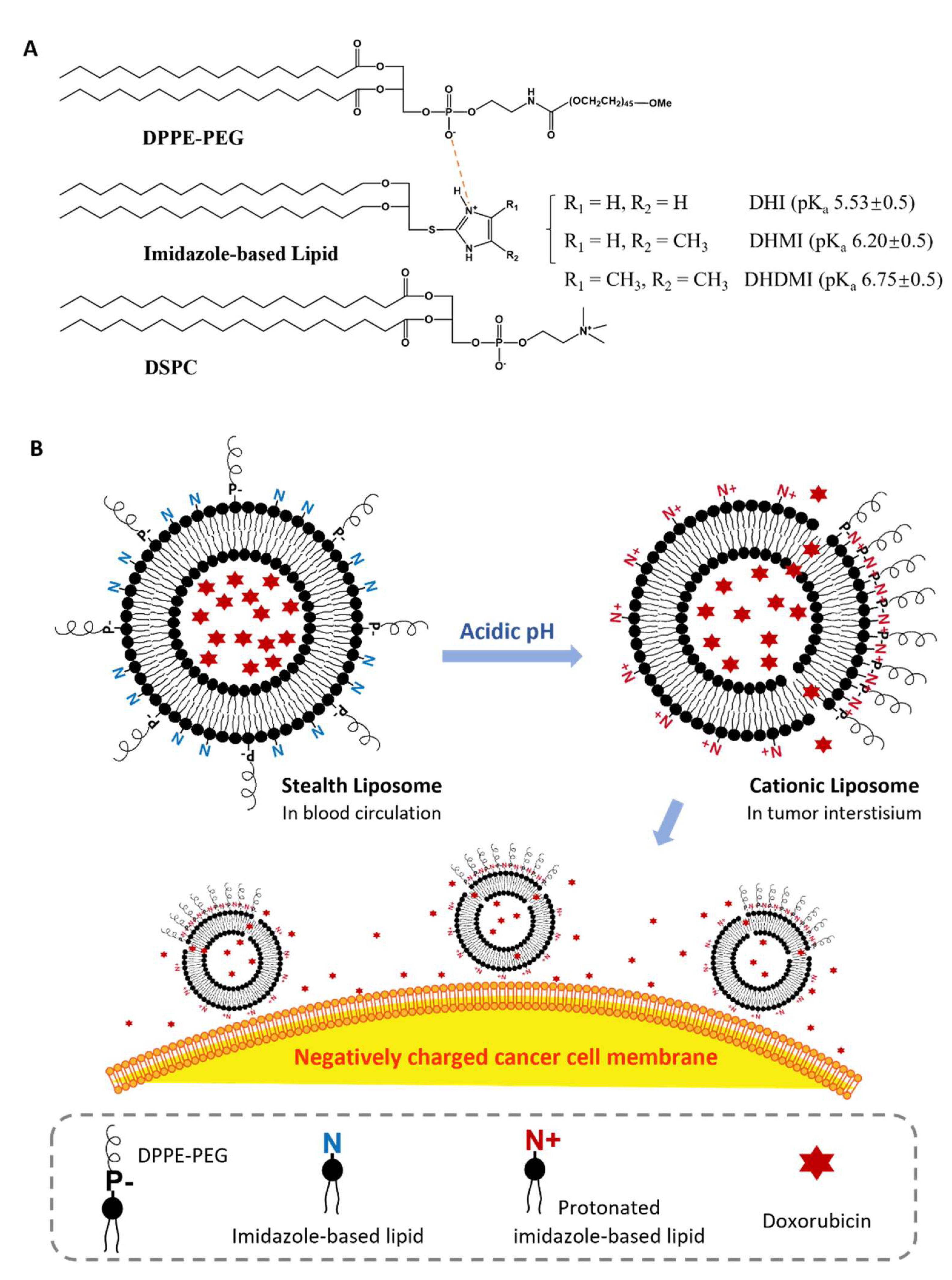 Pharmaceuticals 15 00306 g001