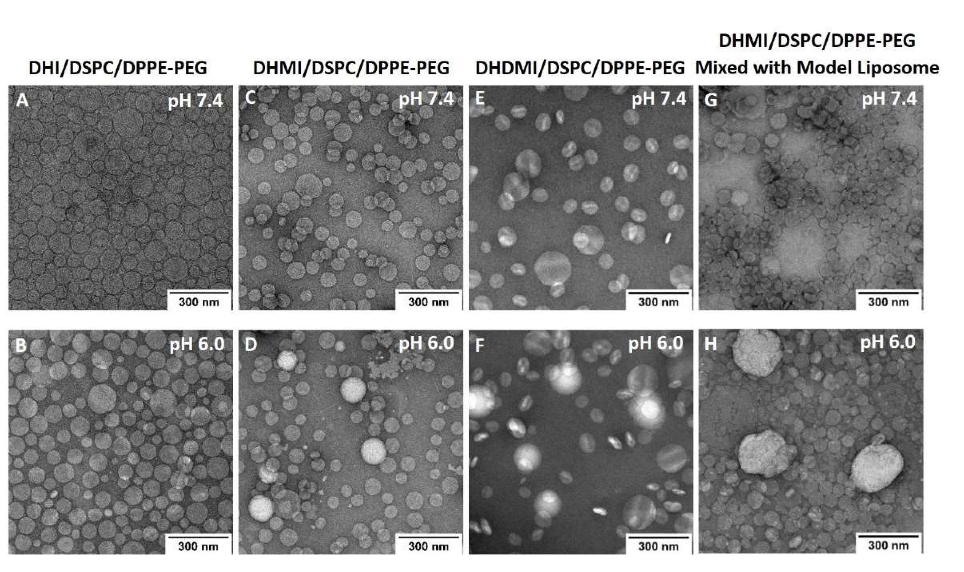 Pharmaceuticals 15 00306 g007