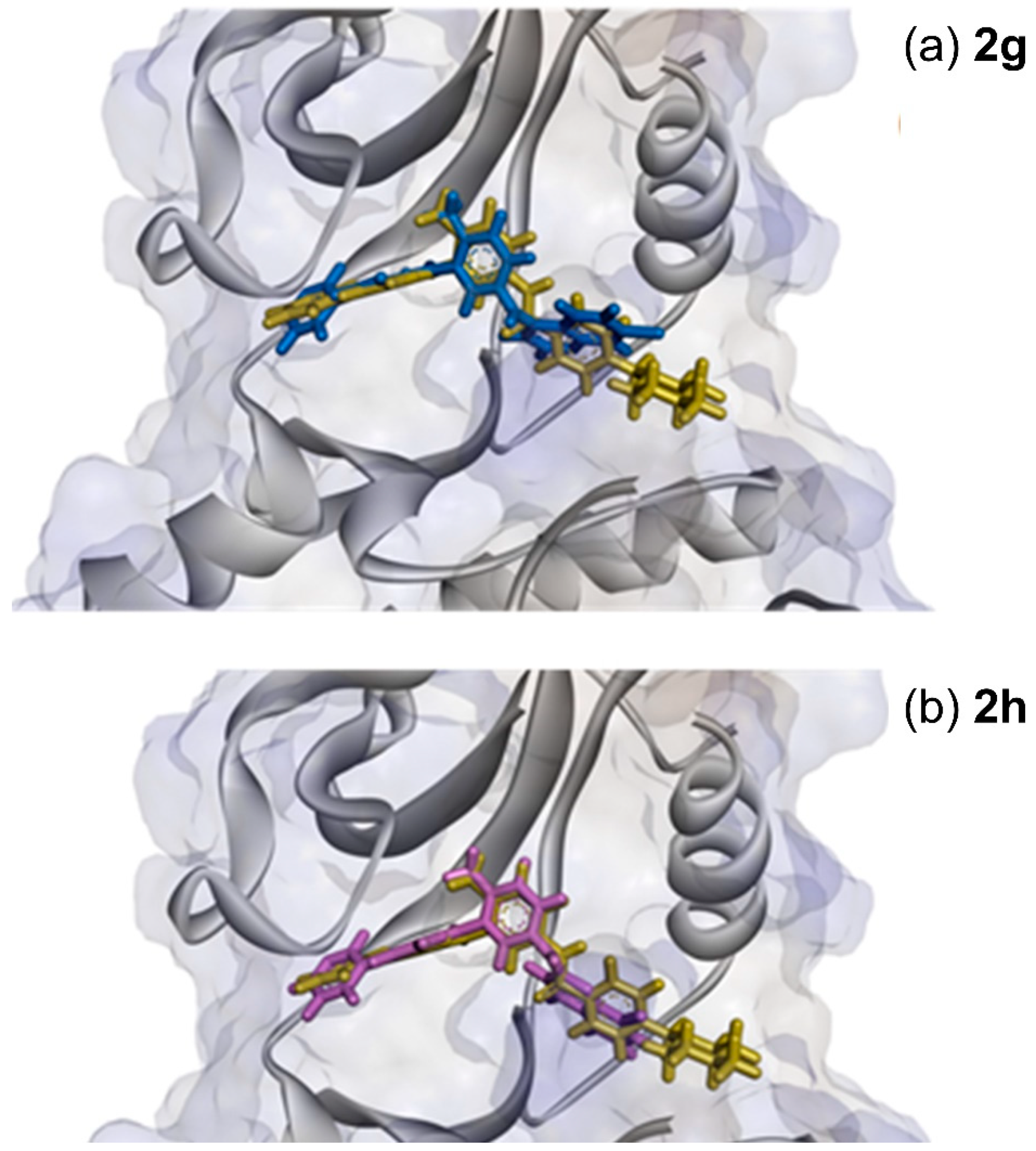 Pharmaceuticals 15 00309 g007 Pharmaceuticals 15 00309 g007