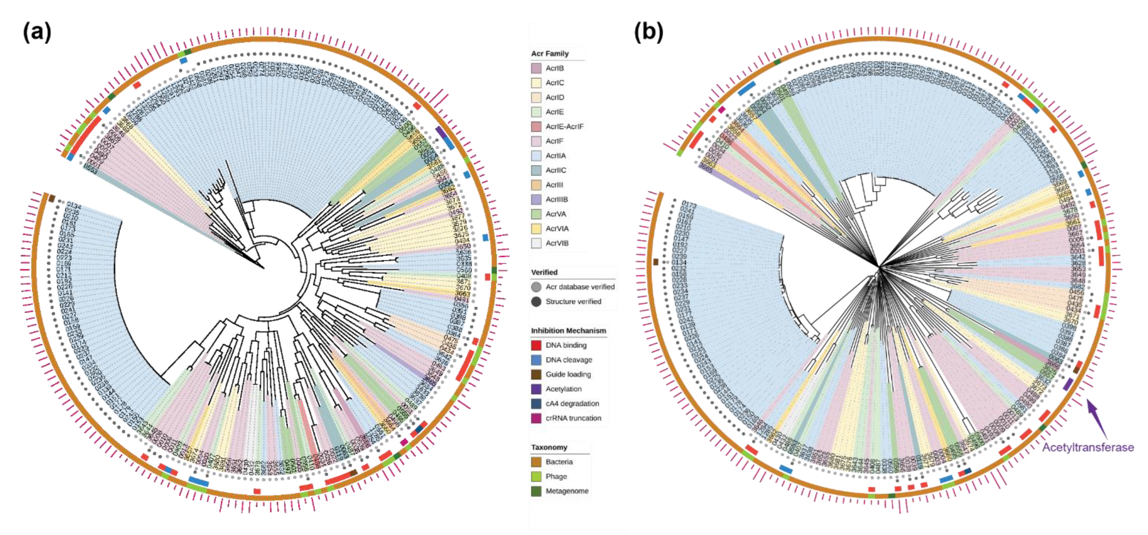 Pharmaceuticals 15 00310 g003 550