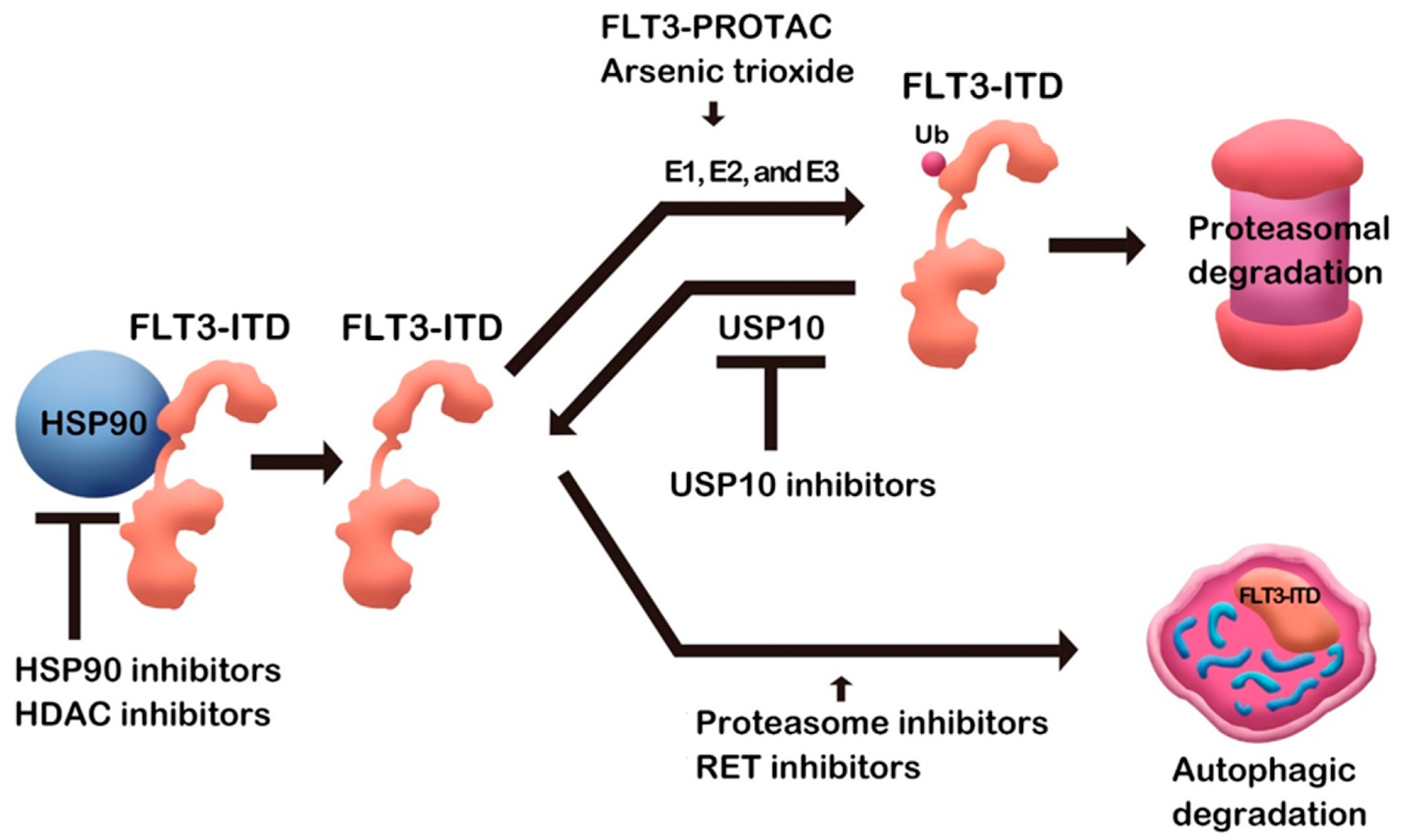 Pharmaceuticals 15 00320 g001 550