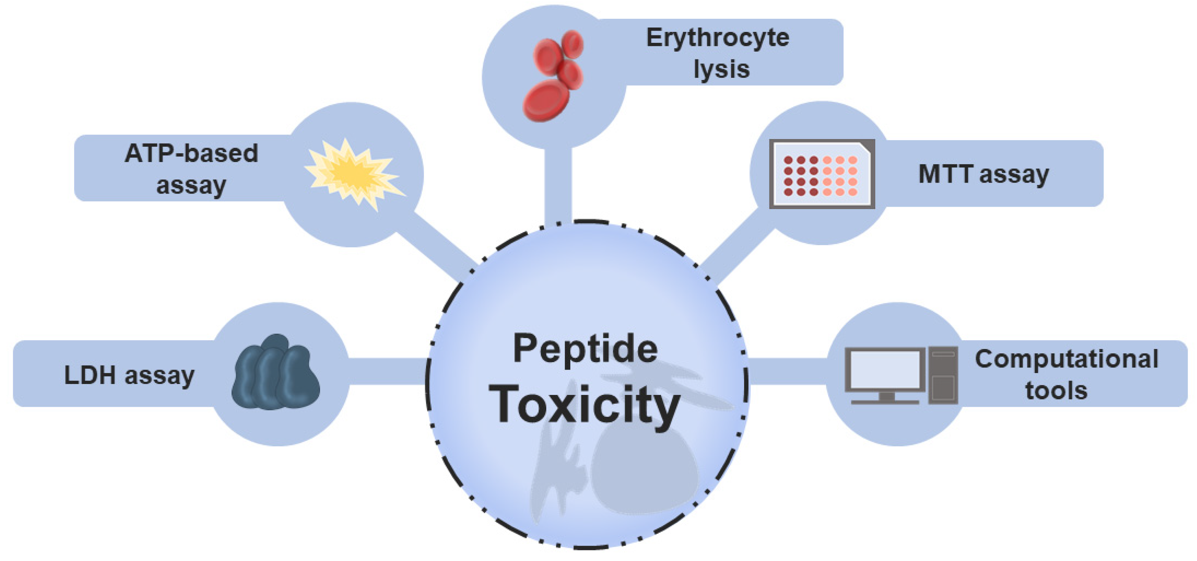 Traditional and Computational Screening of Non-Toxic Peptides and 