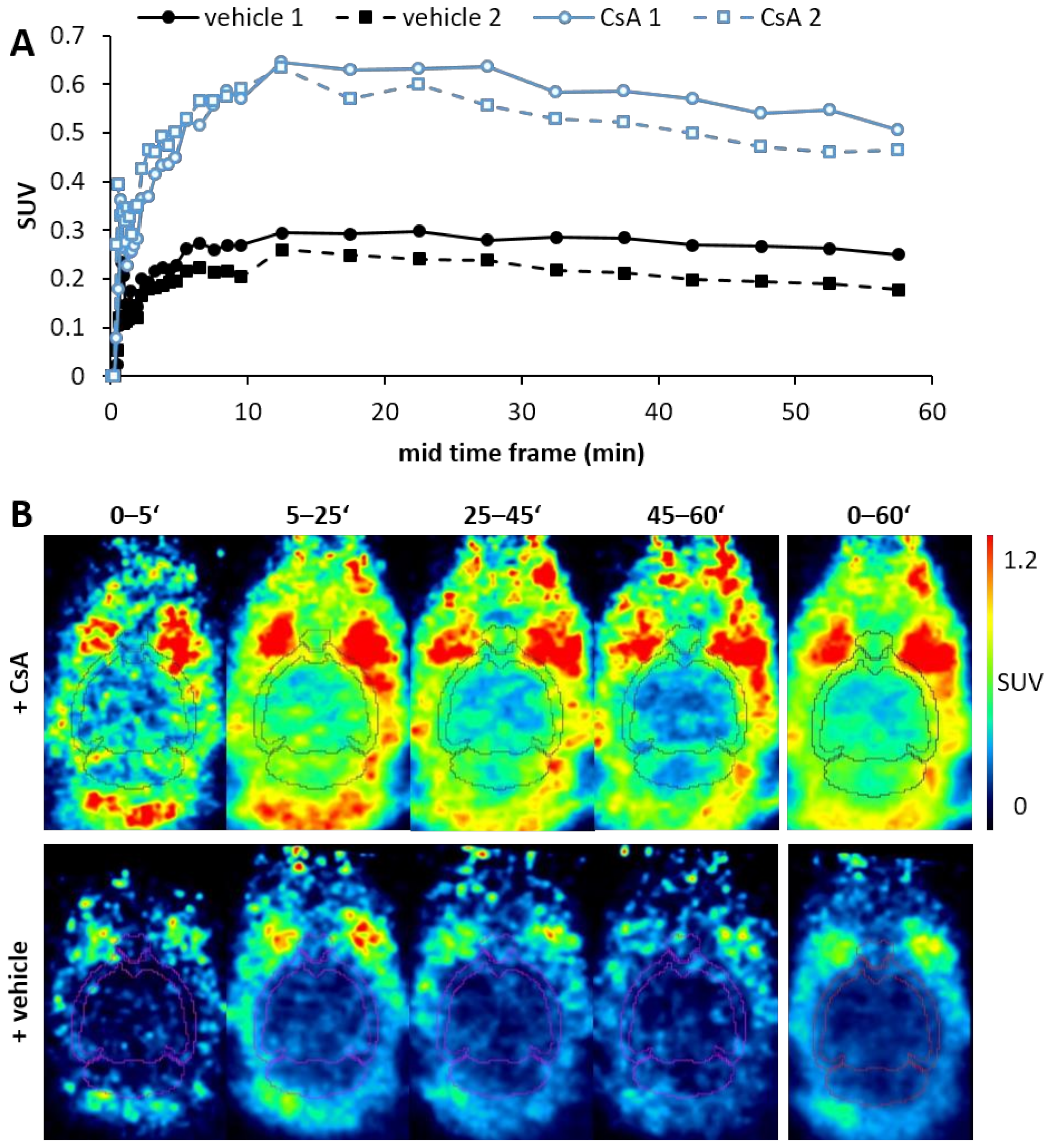 Pharmaceuticals 15 00324 g003 Pharmaceuticals 15 00324 g003