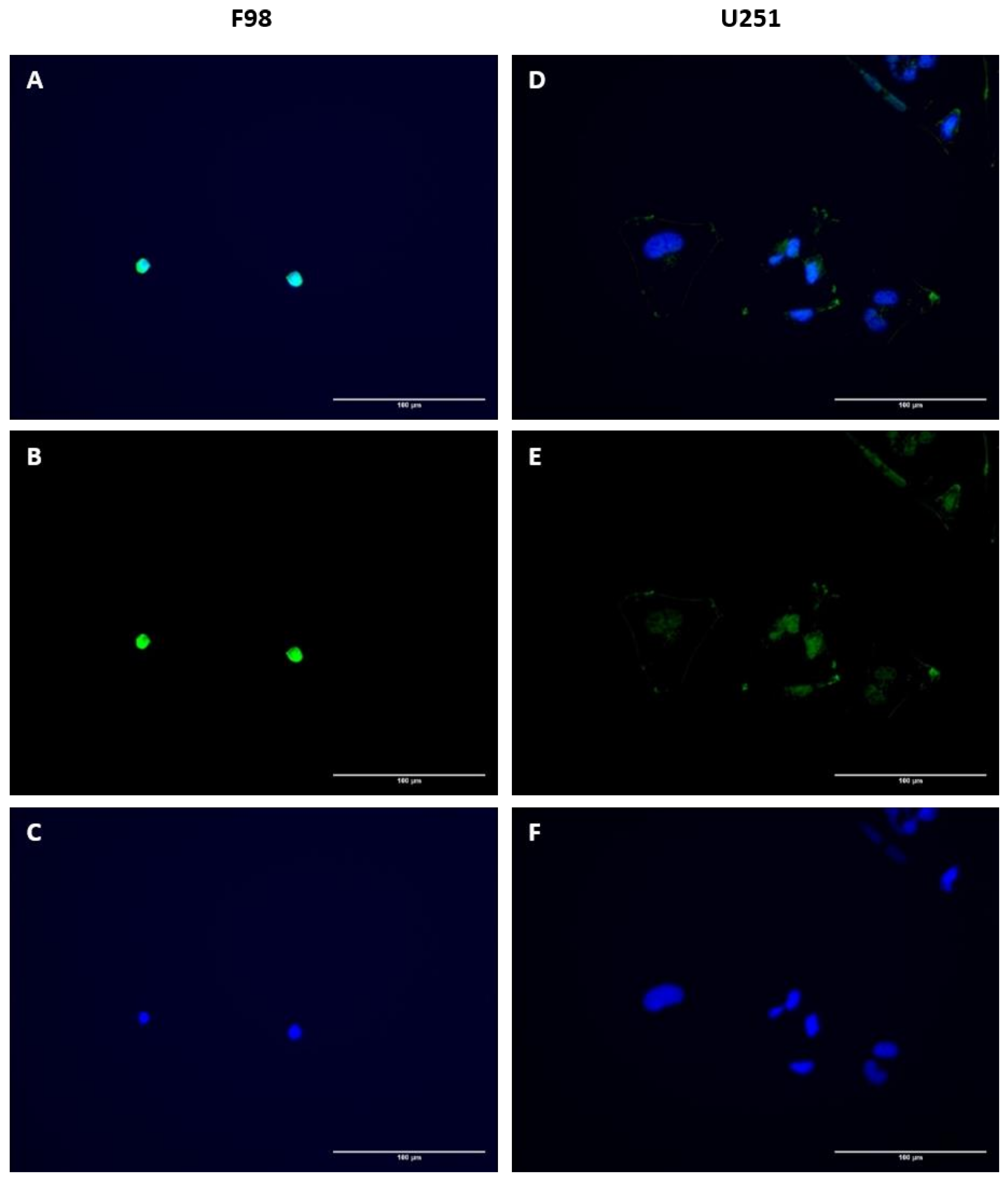 Pharmaceuticals 15 00324 g005 Pharmaceuticals 15 00324 g005
